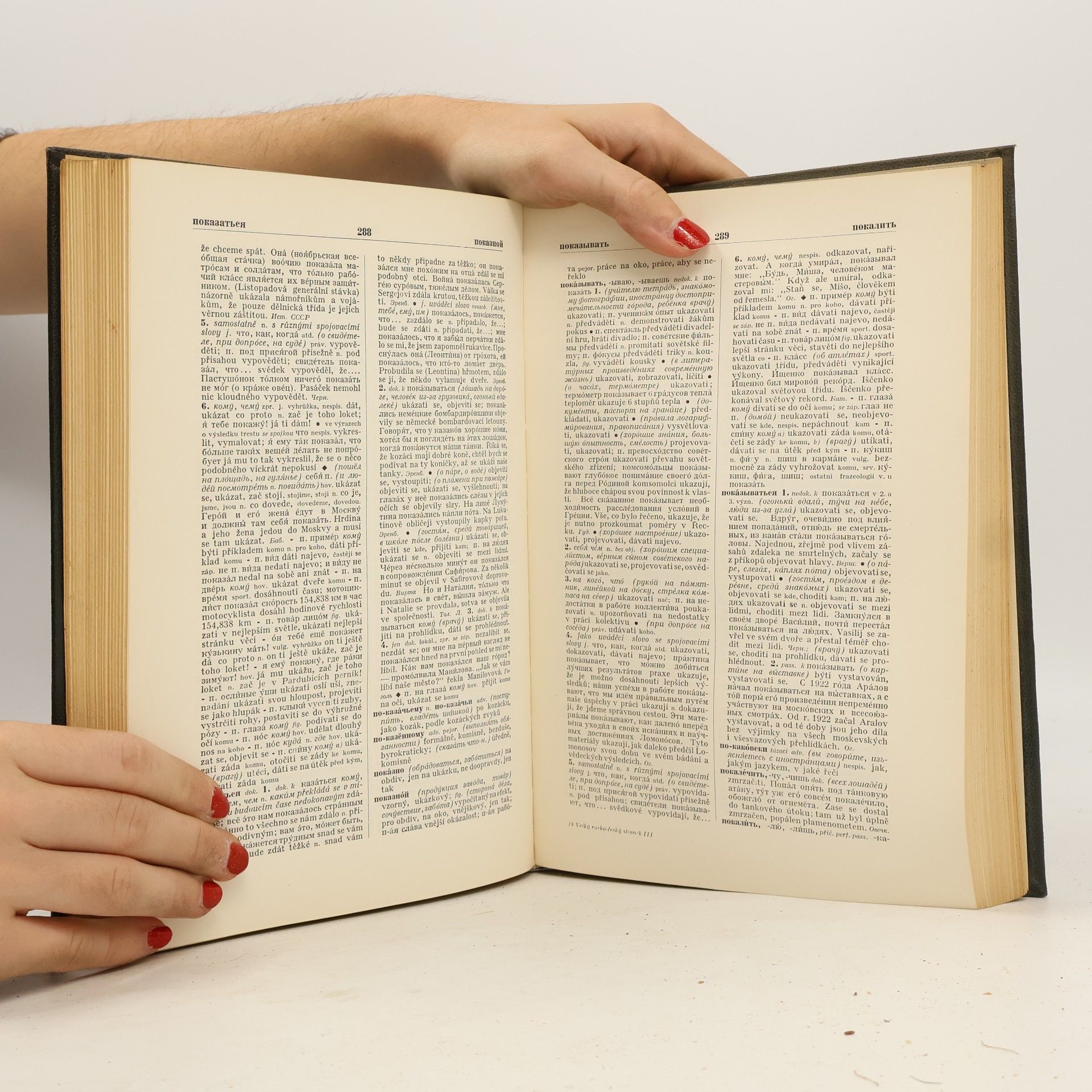 Autorenkollektiv Velký rusko-český slovník III.