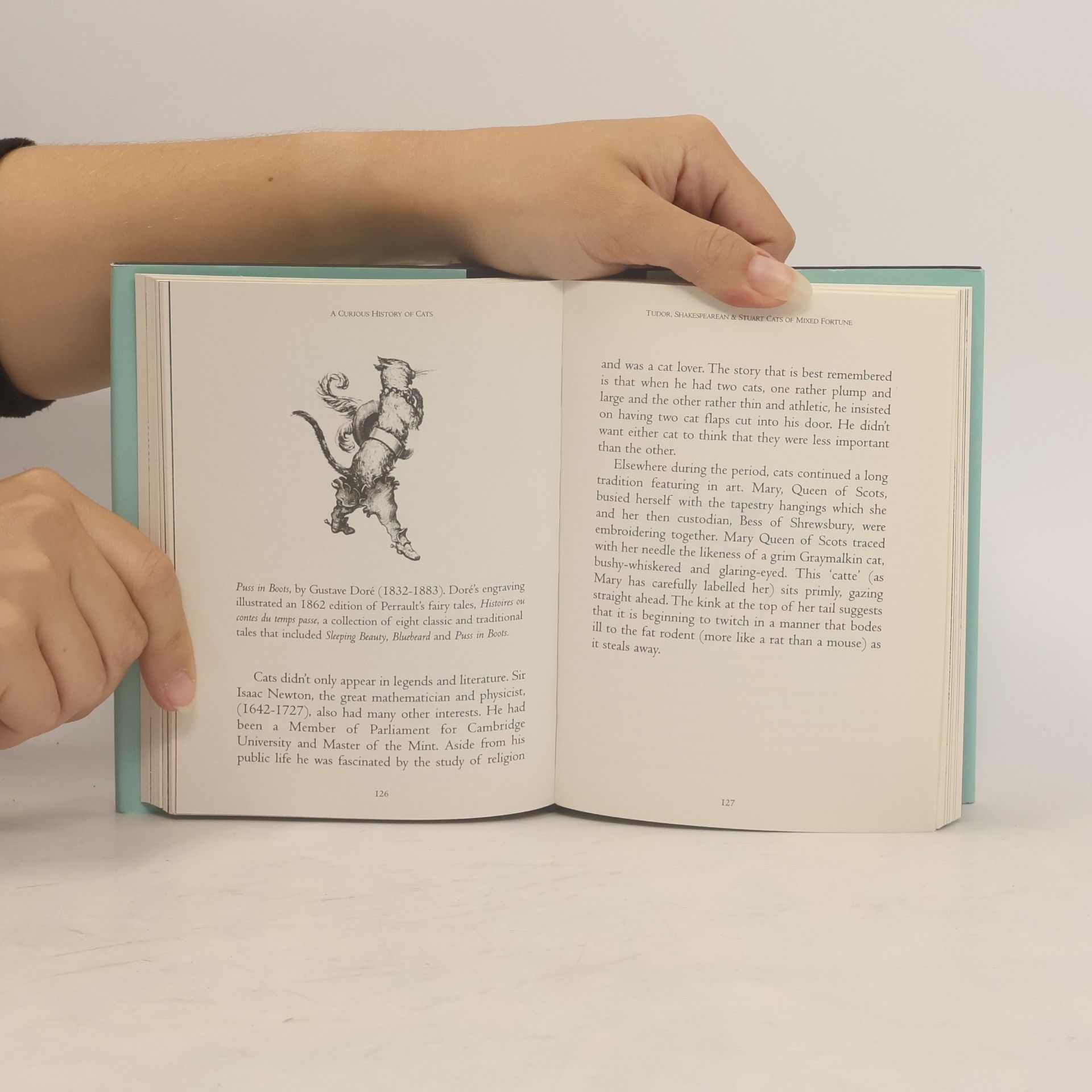 Celia Haddon A Curious History of Cats
