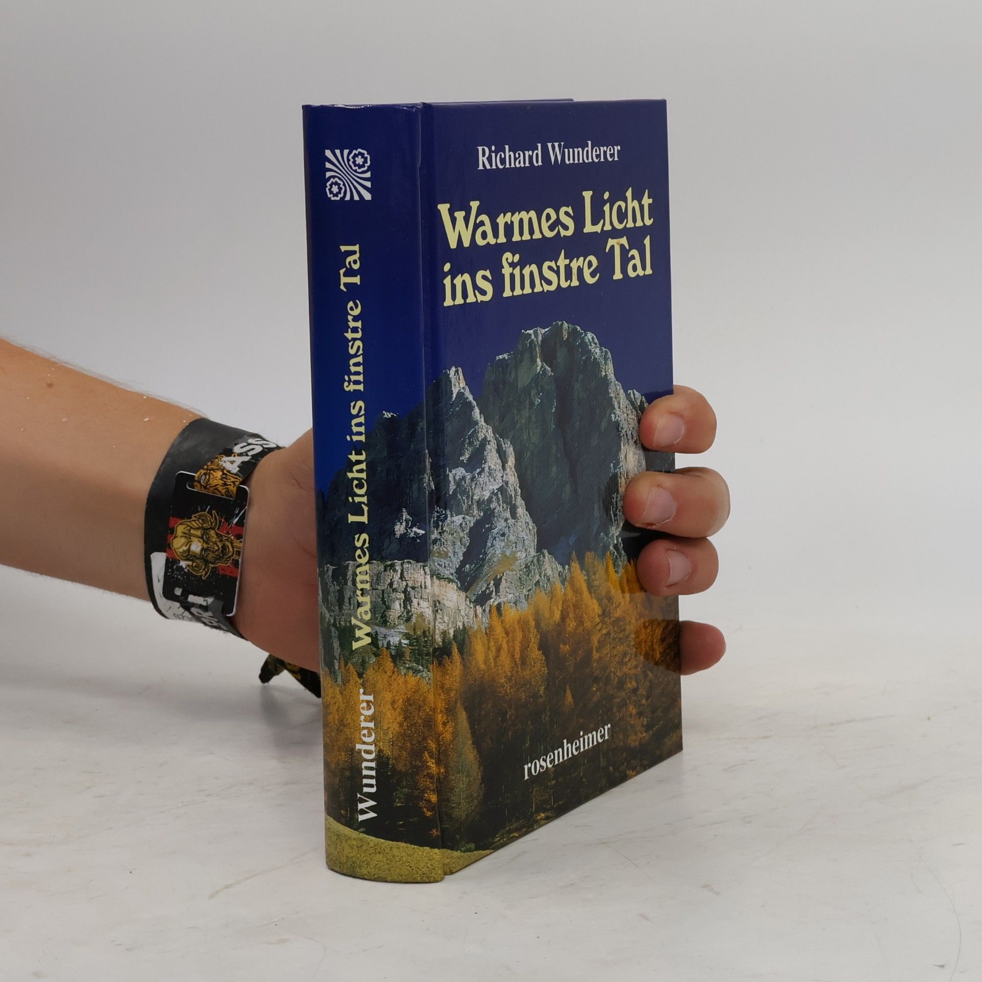 Richard Wunderer Warmes Licht ins finstre Tal