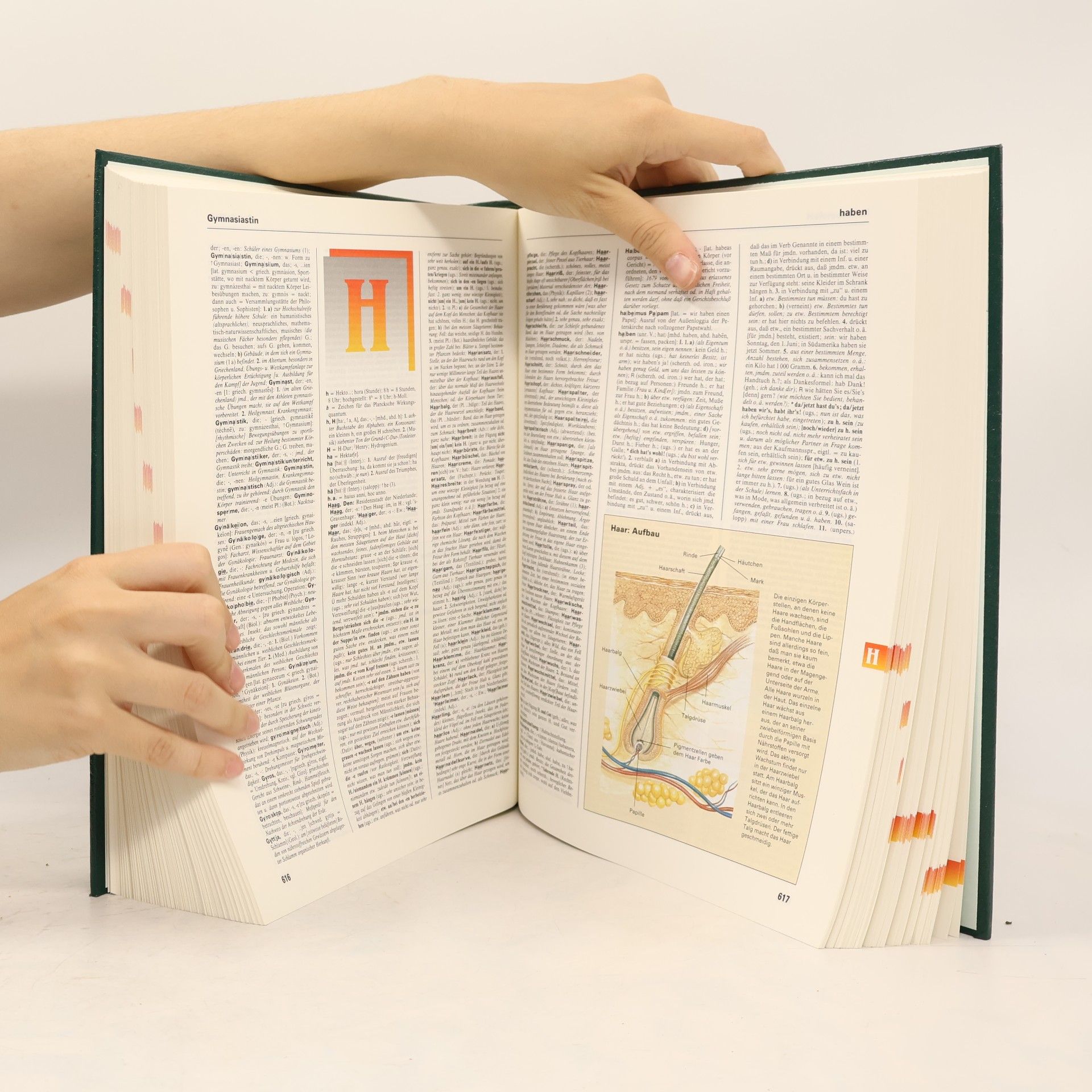 Autorenkollektiv Das grosse illustrierte Wörterbuch der deutschen Sprache A-L