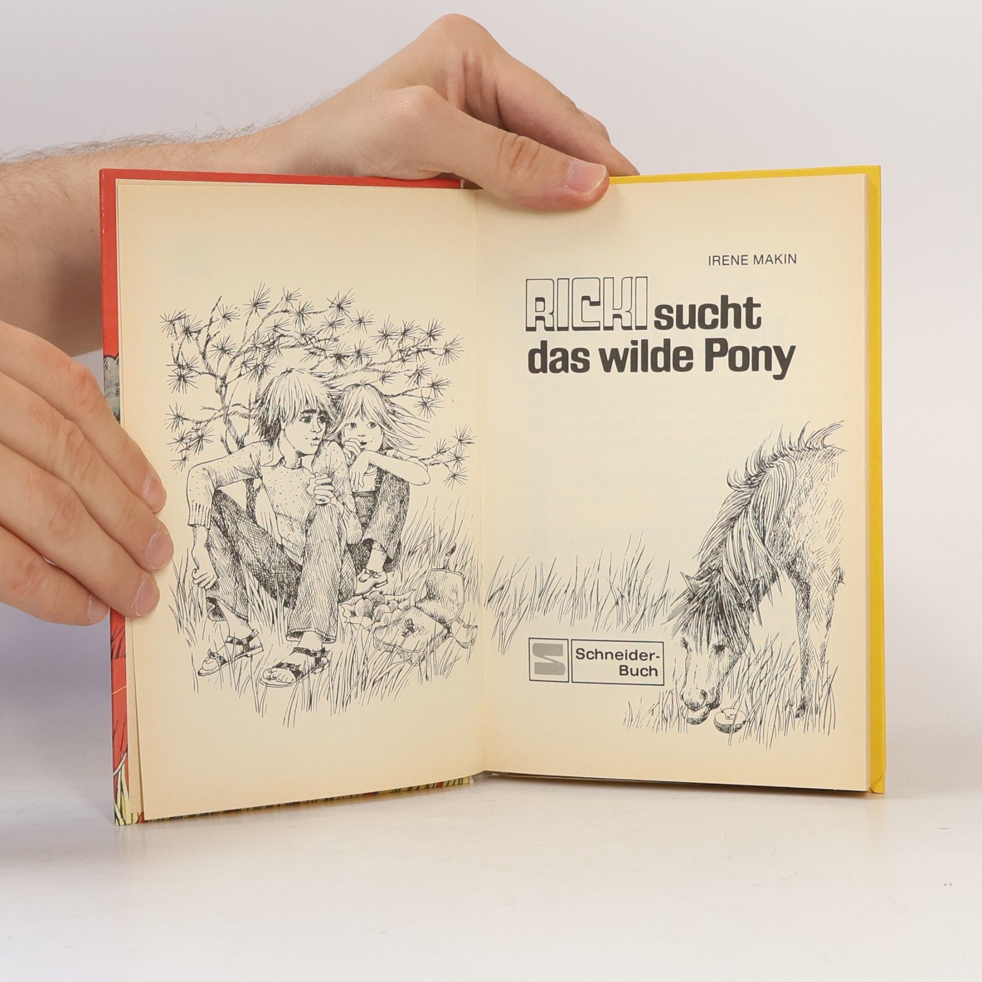 Irene Makin Ricki sucht das wilde Pony