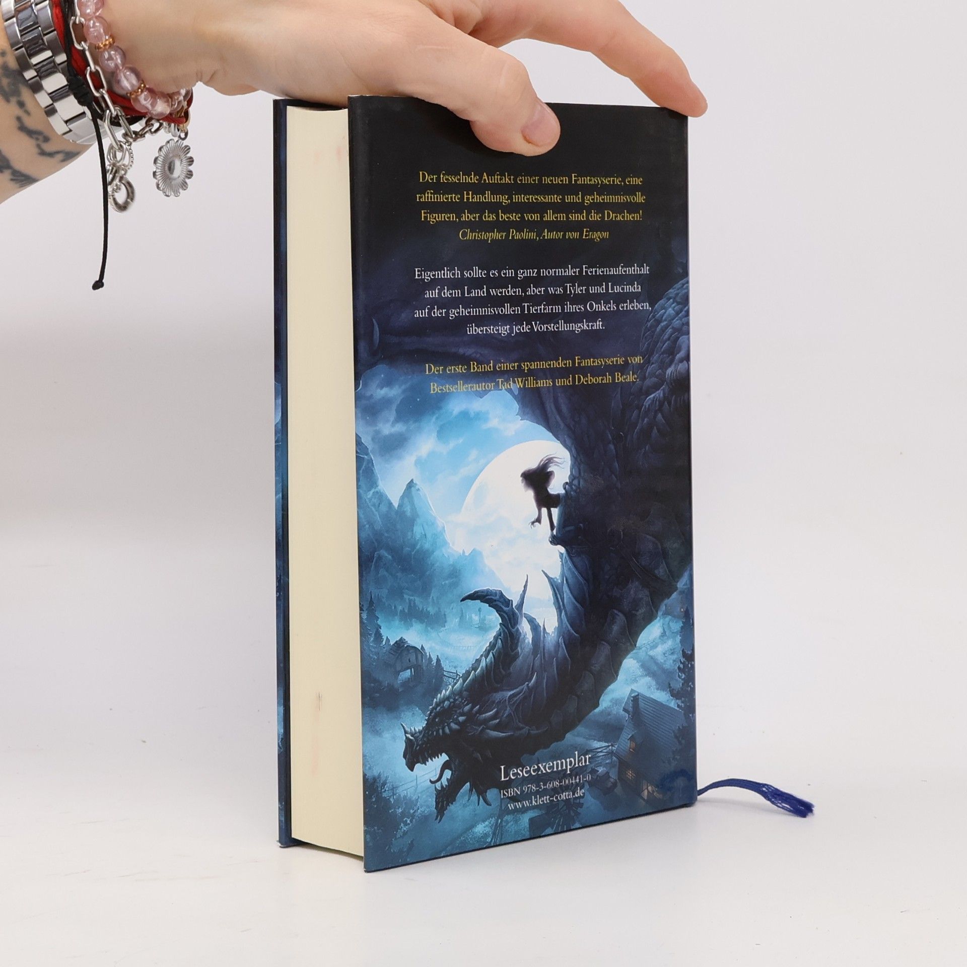 Deborah Beale Die Drachen der Tinkerfarm