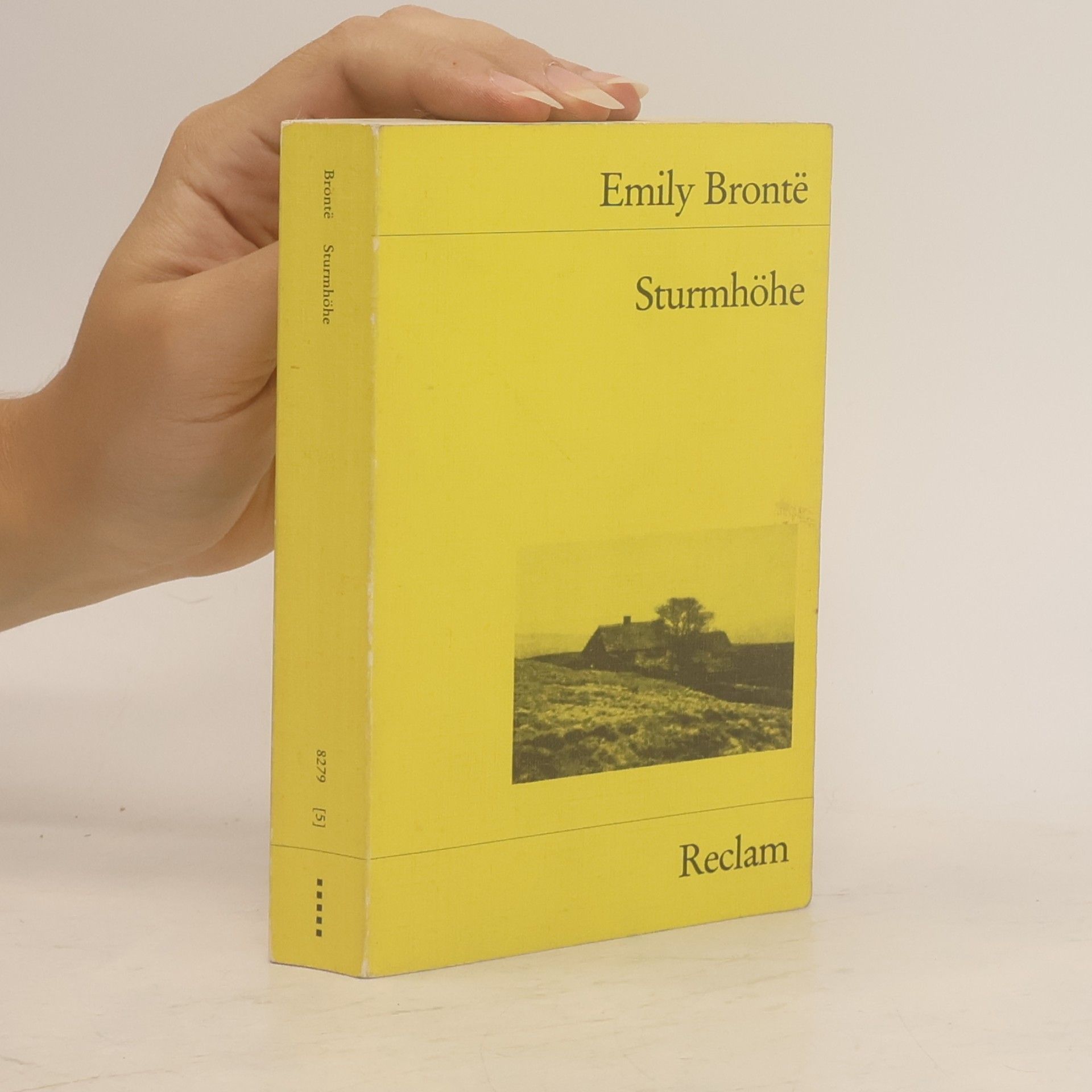 Emily Brontë Sturmhöhe