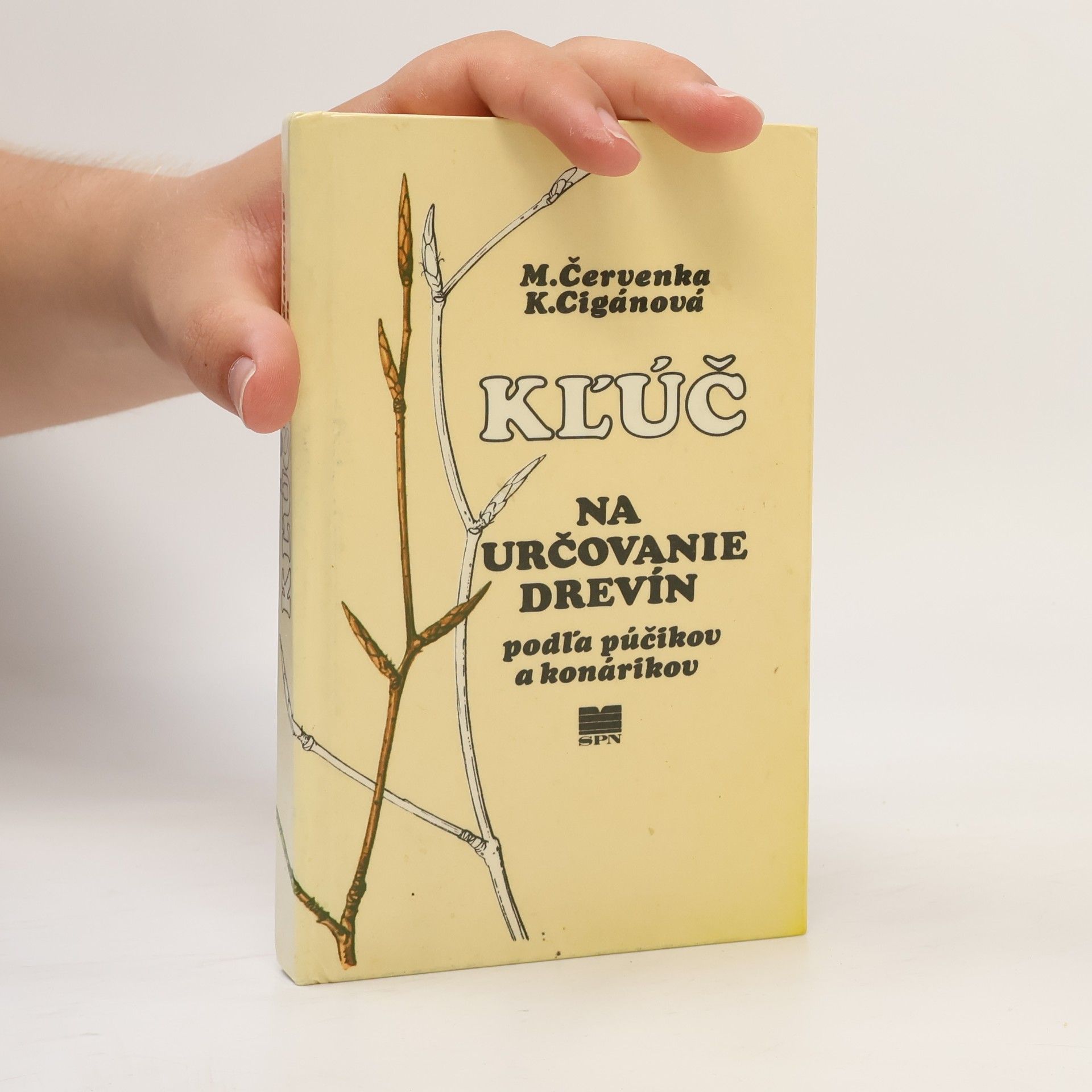 Kľúč na určovanie drevín podľa púčikov a konárikov
