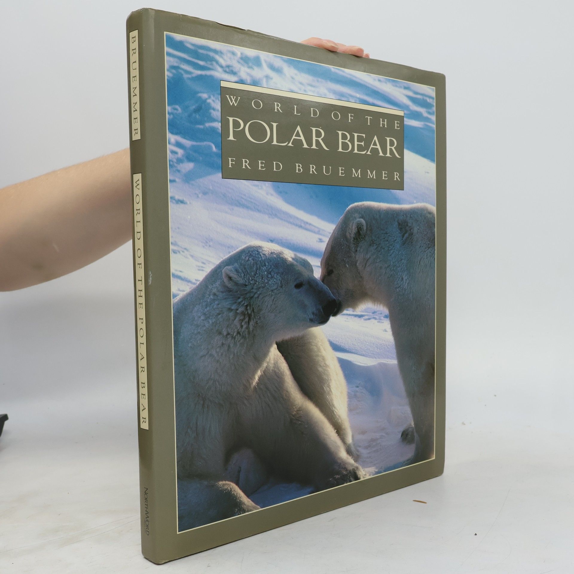 World of the polar bear