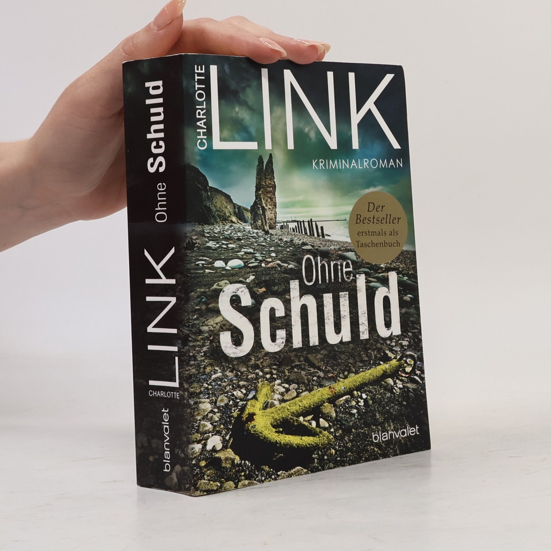 Charlotte Link Ohne Schuld