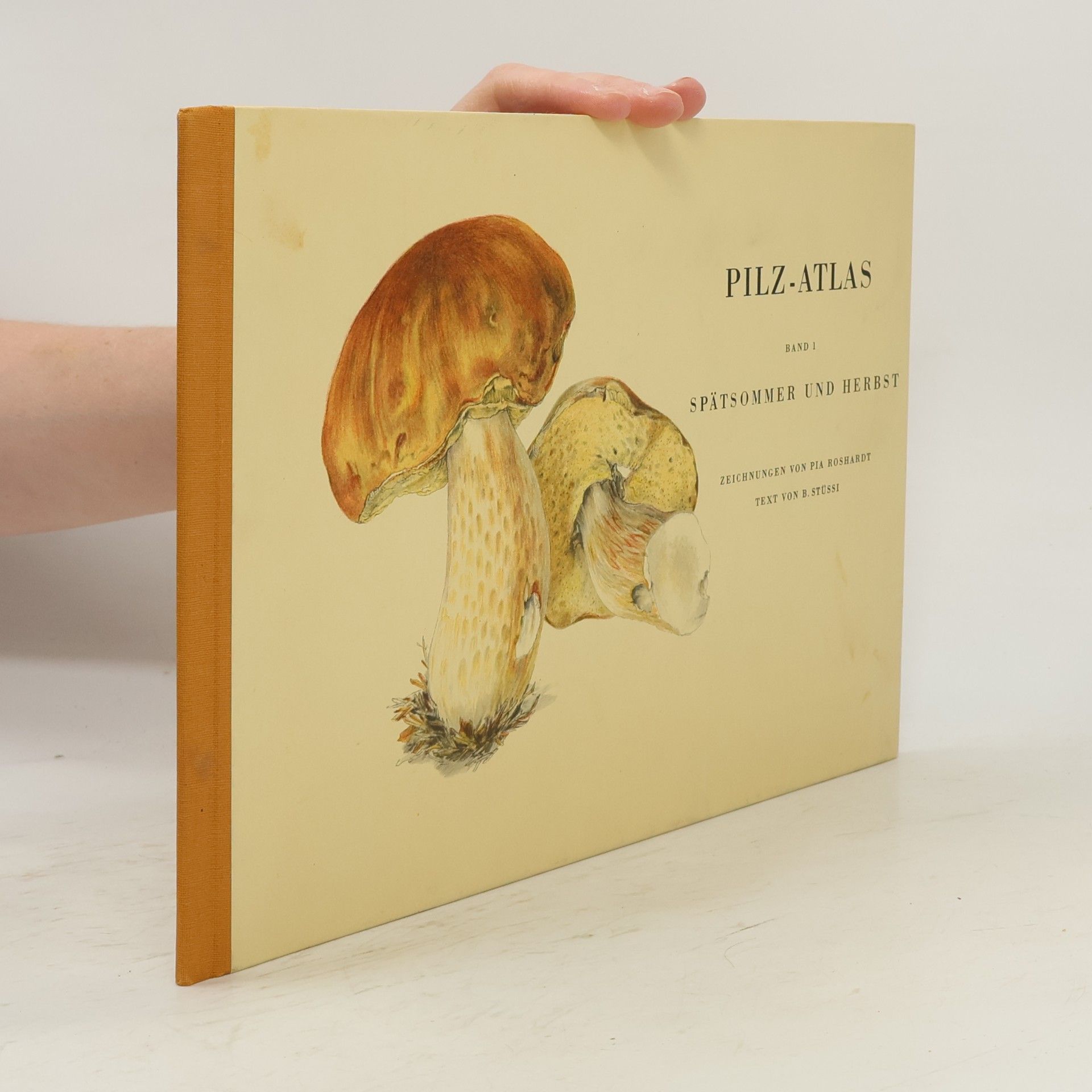 Autorenkollektiv Pilz-Atlas 1