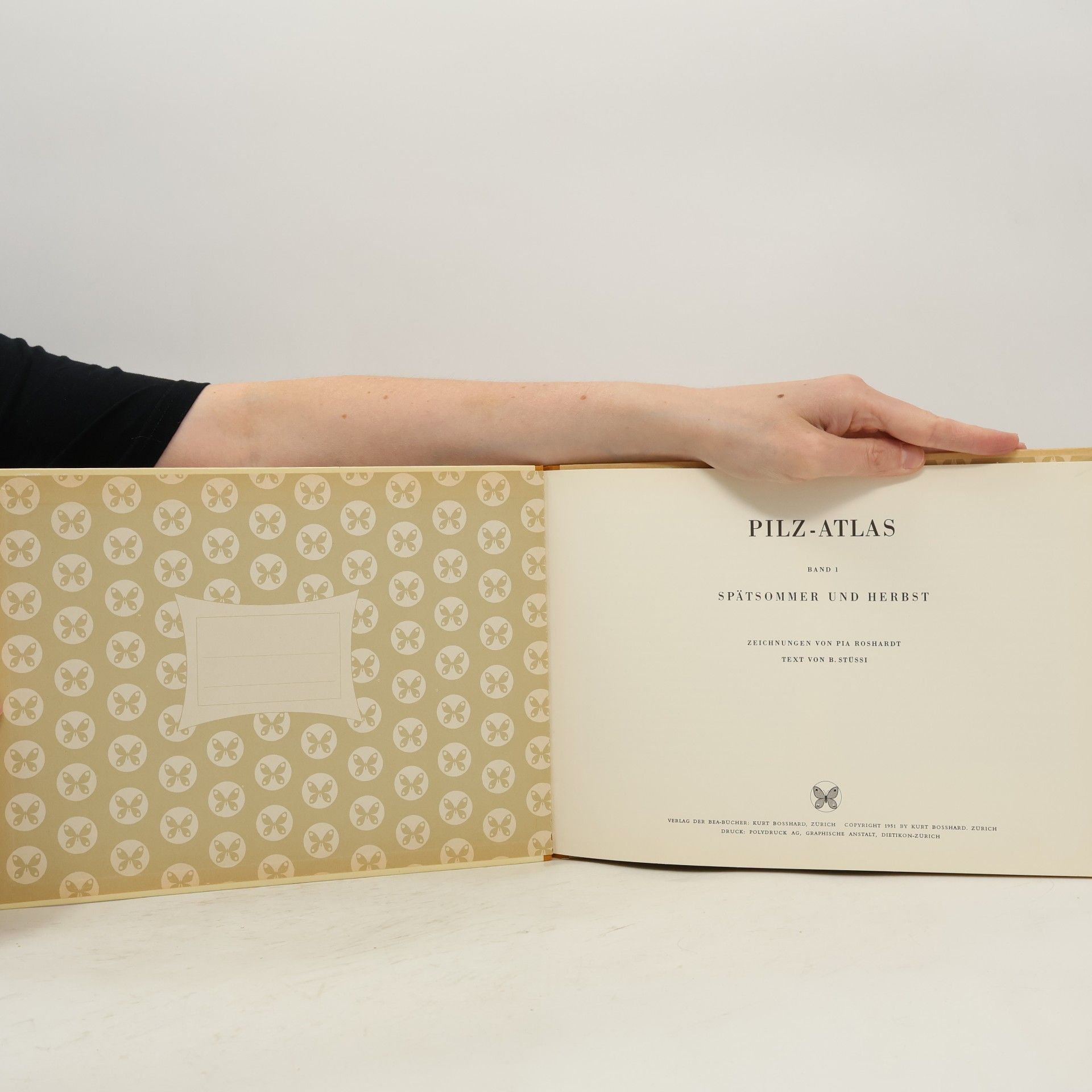 Autorenkollektiv Pilz-Atlas 1