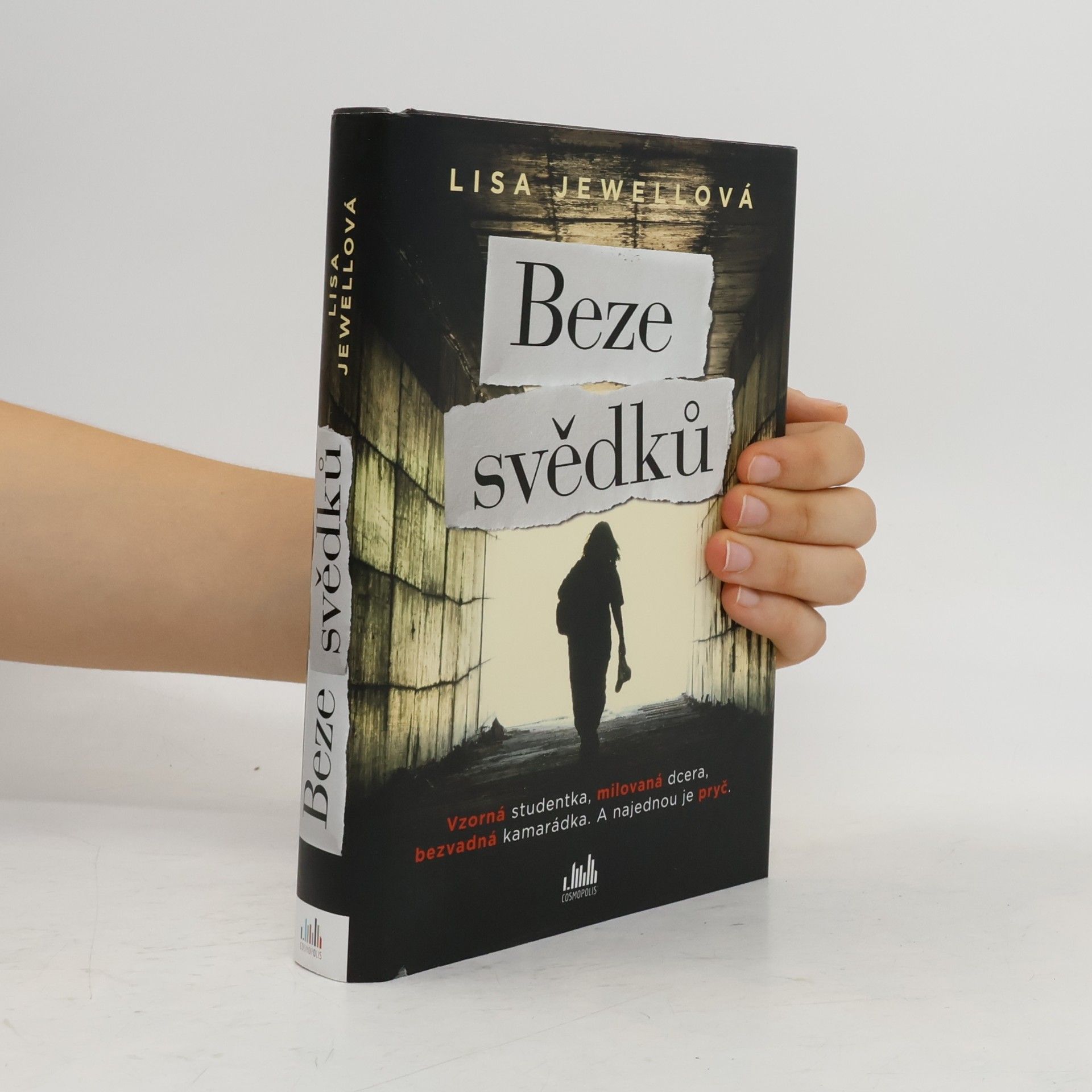 Lisa Jewell Beze svědků