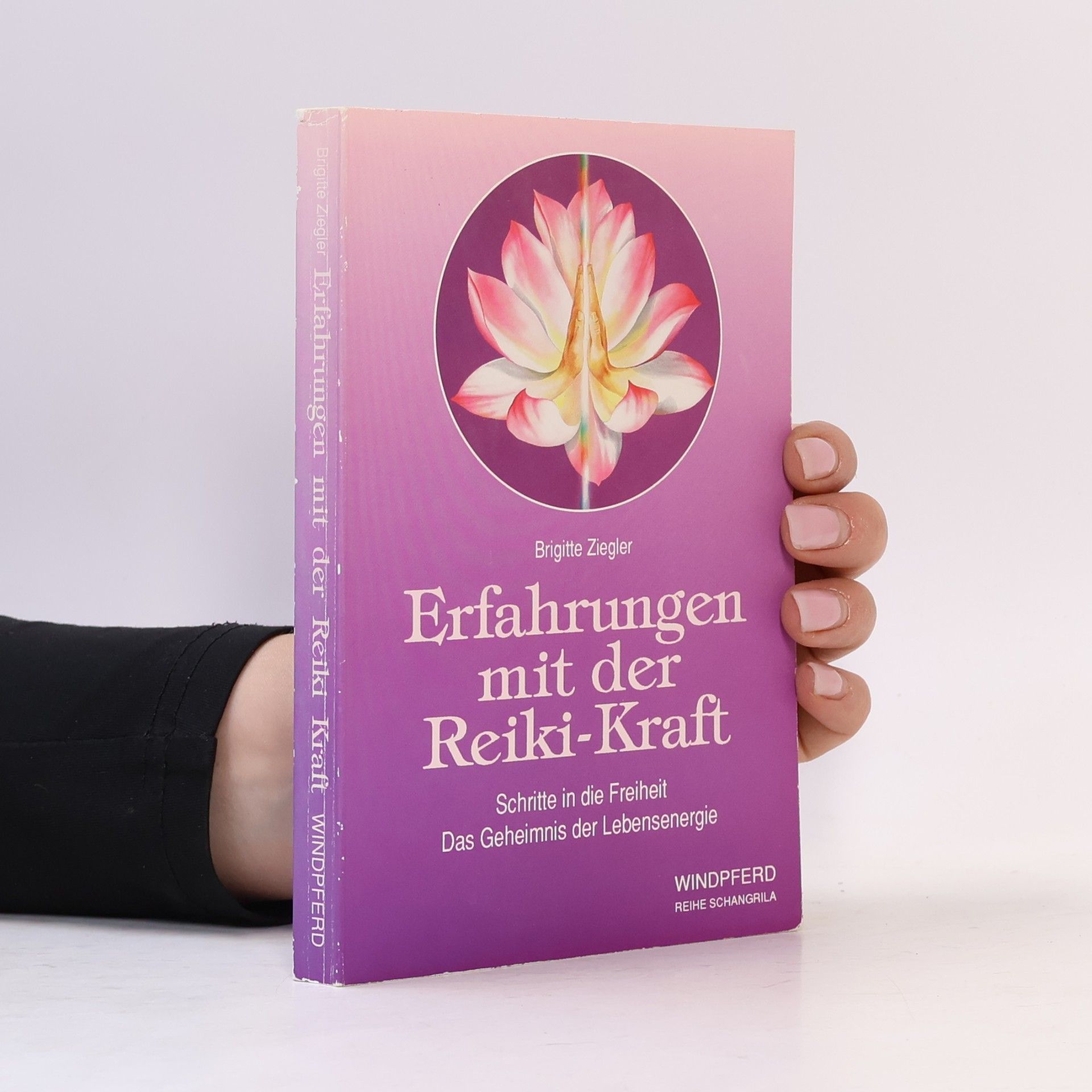 Brigitte Ziegler Erfahrungen mit der Reiki-Kraft