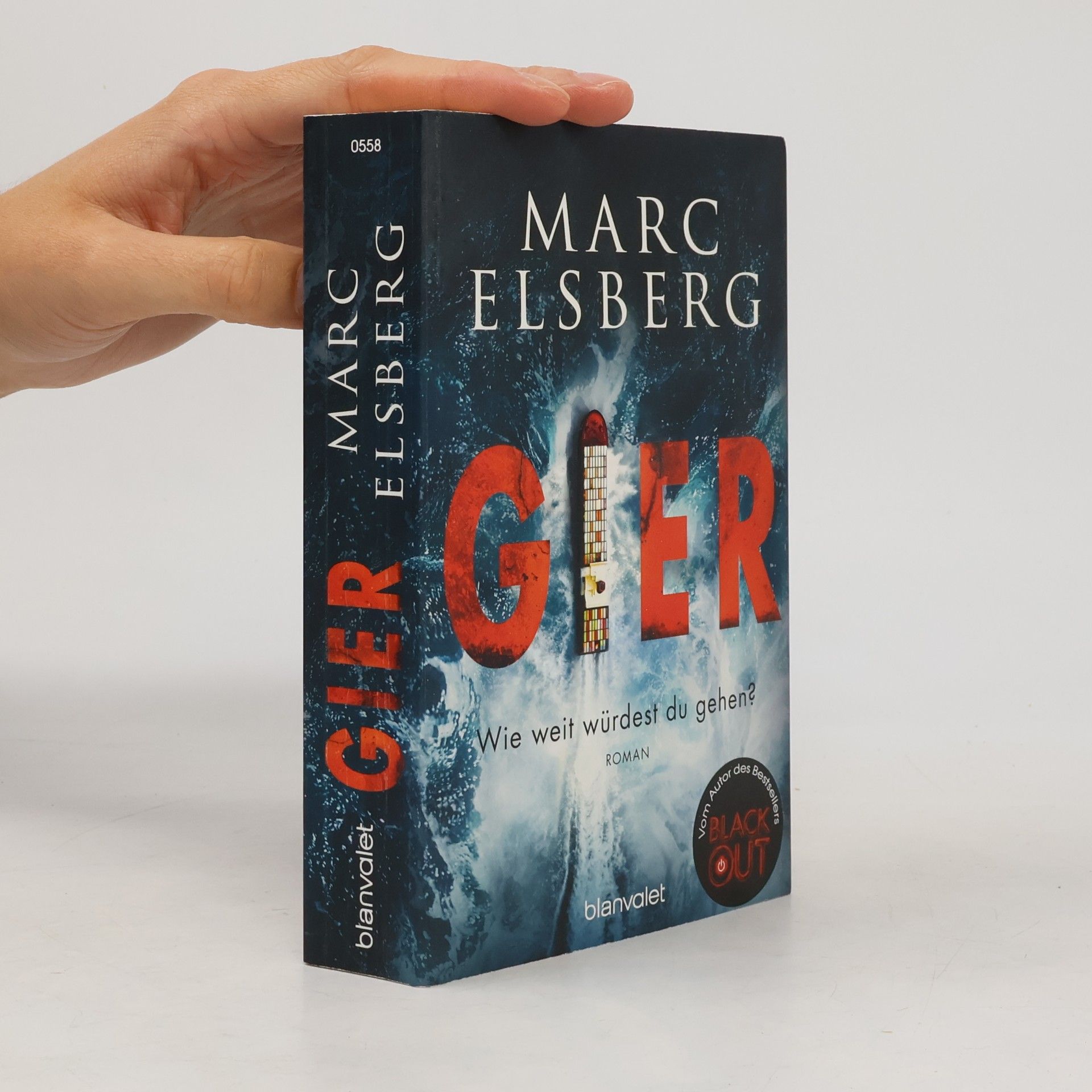 Marc Elsberg Gier