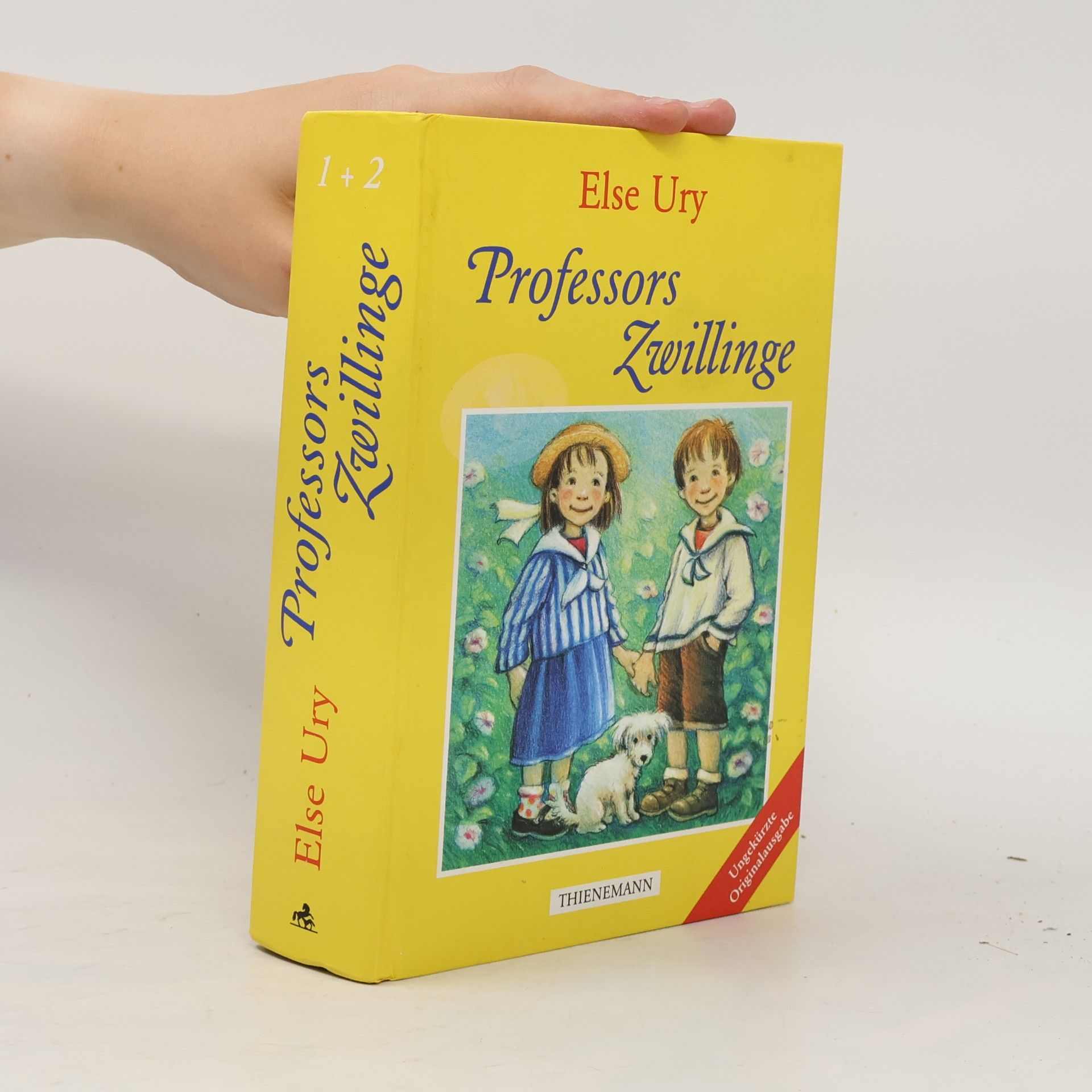 Else Ury Professors Zwillinge