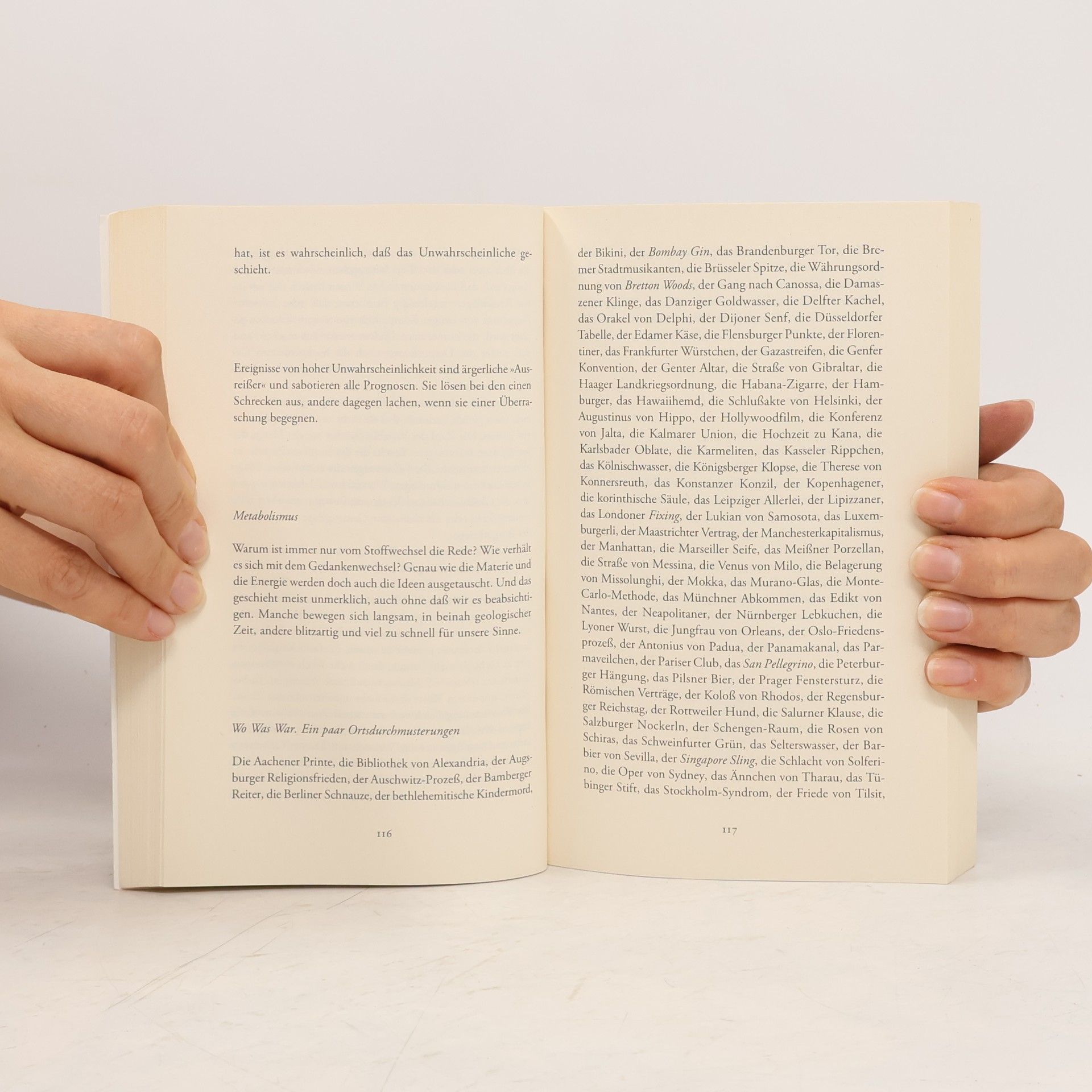 Hans Magnus Enzensberger Fallobst