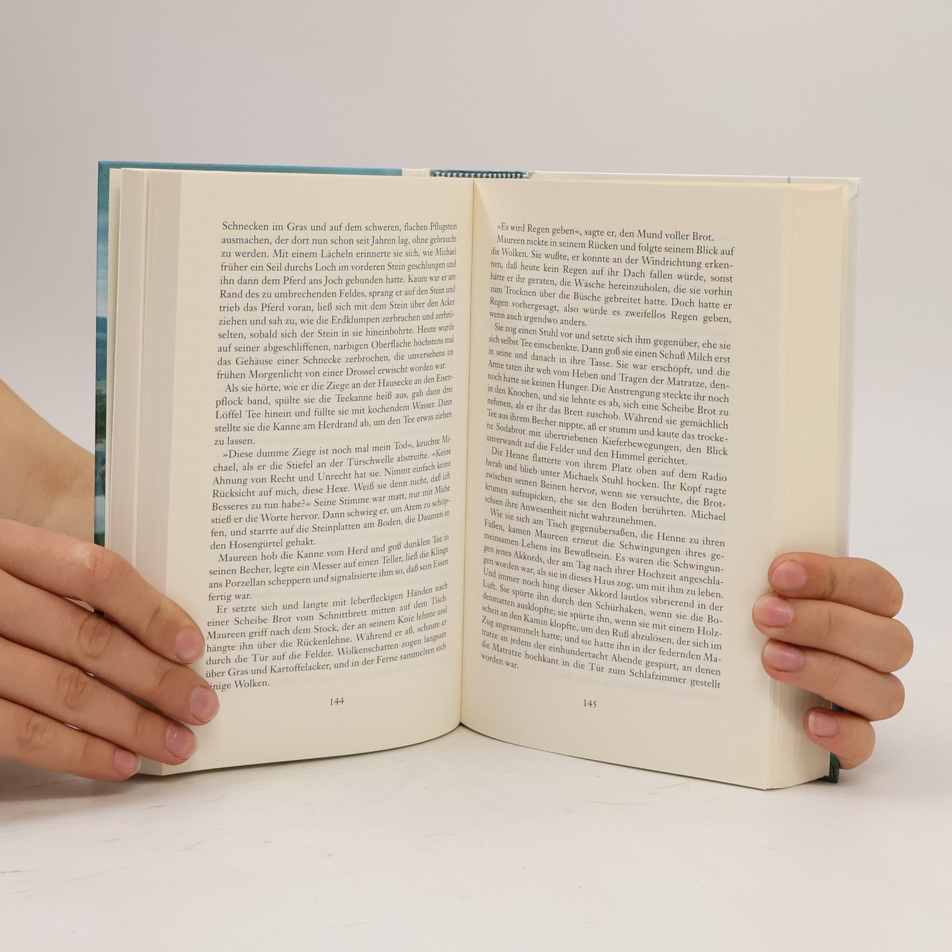 Bernhard Robben Irisches Lesebuch