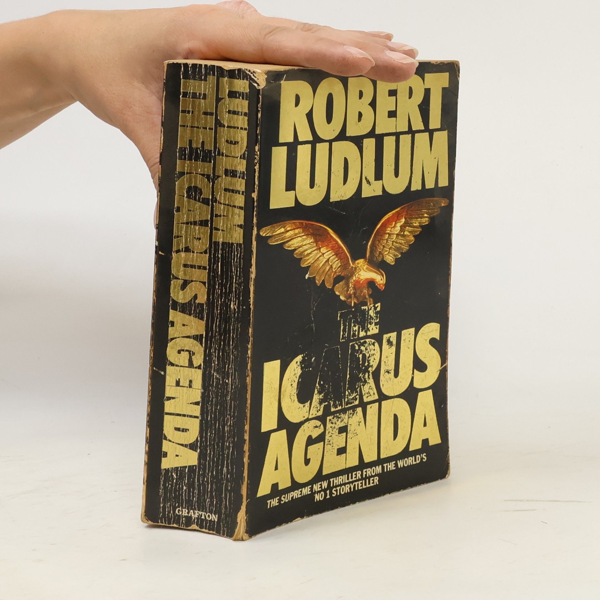 Robert Ludlum The Icarus Agenda