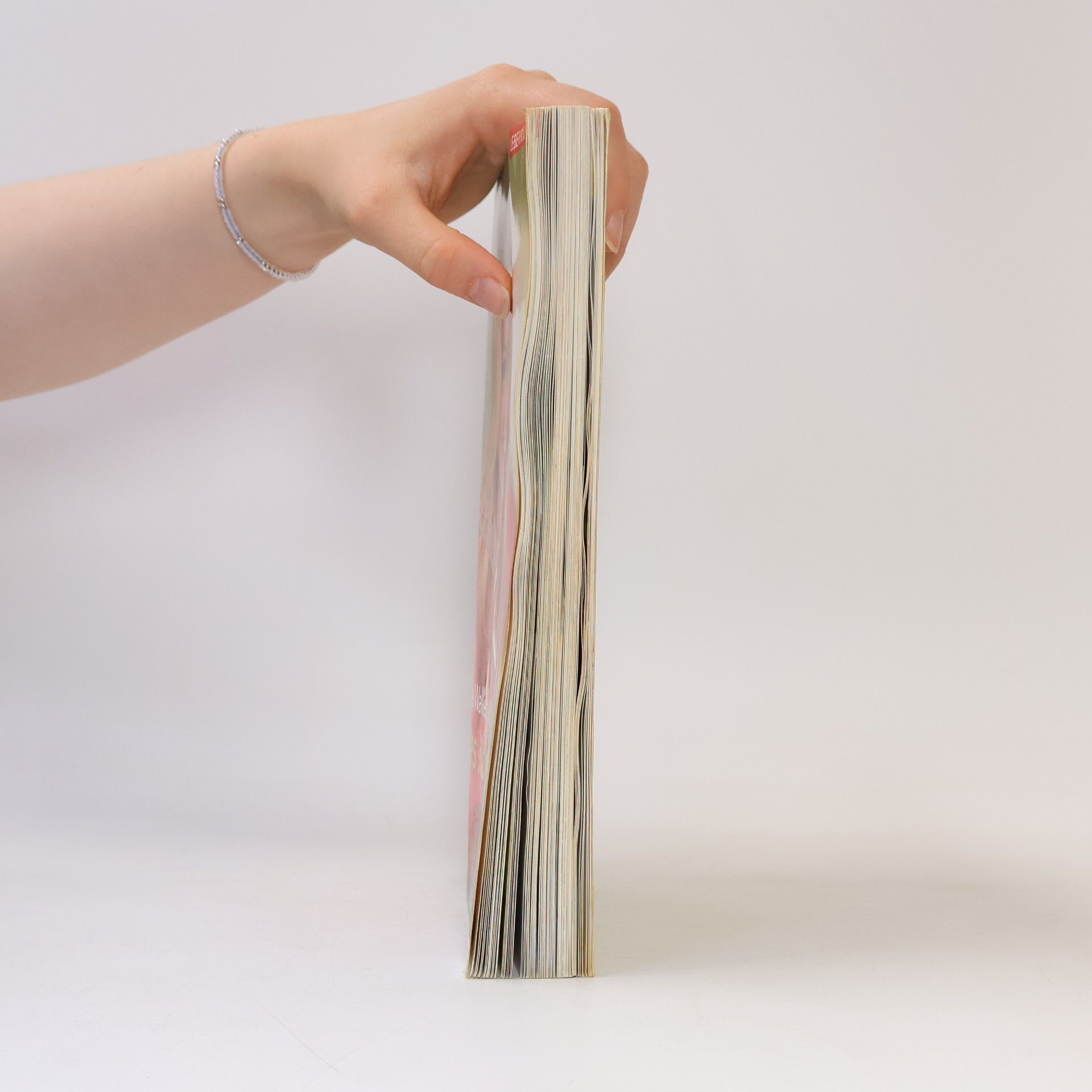 Sasha Walleczek Die Walleczek-Methode - Das Kochbuch