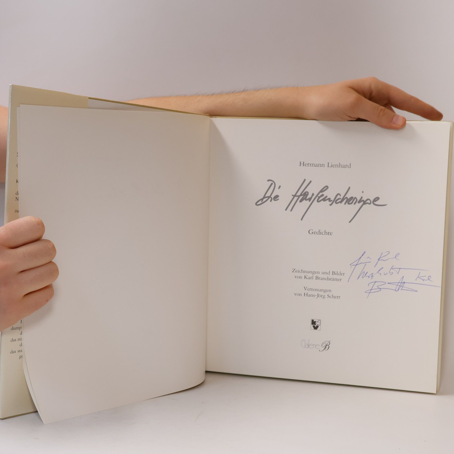 Hermann Lienhardt Die Harfenschwinge