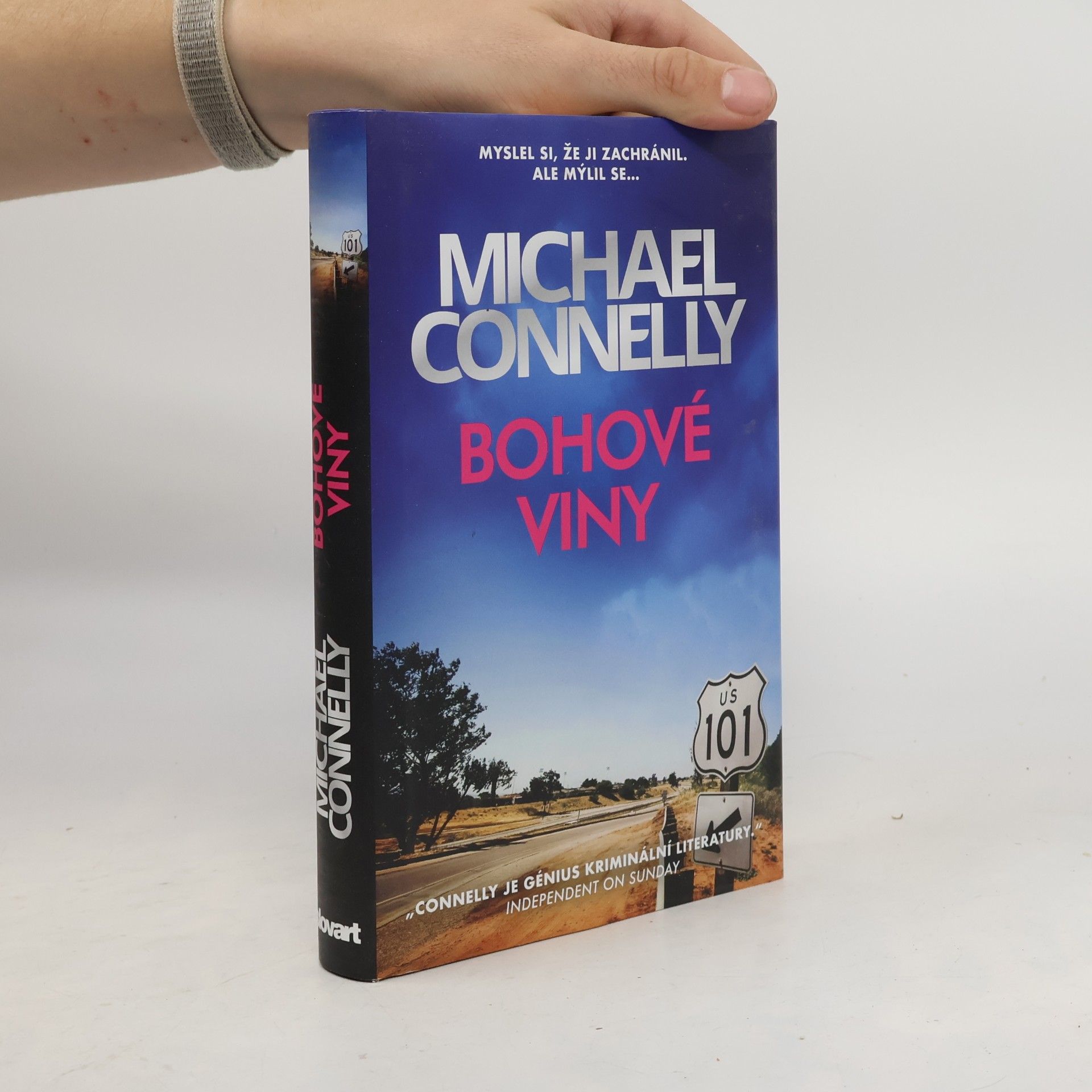 Michael Connelly Bohové viny
