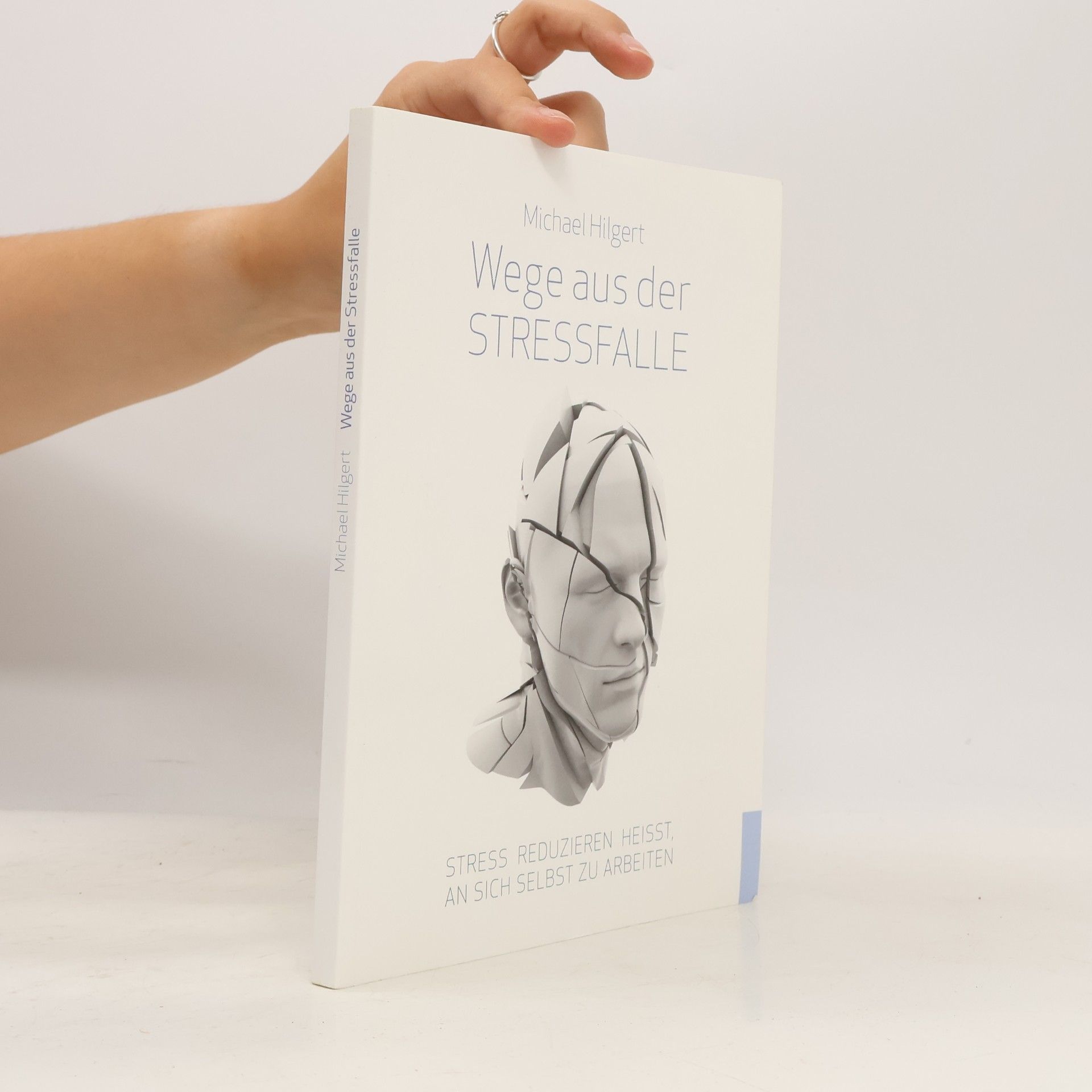 Michael Hilgert Wege aus der Stressfalle