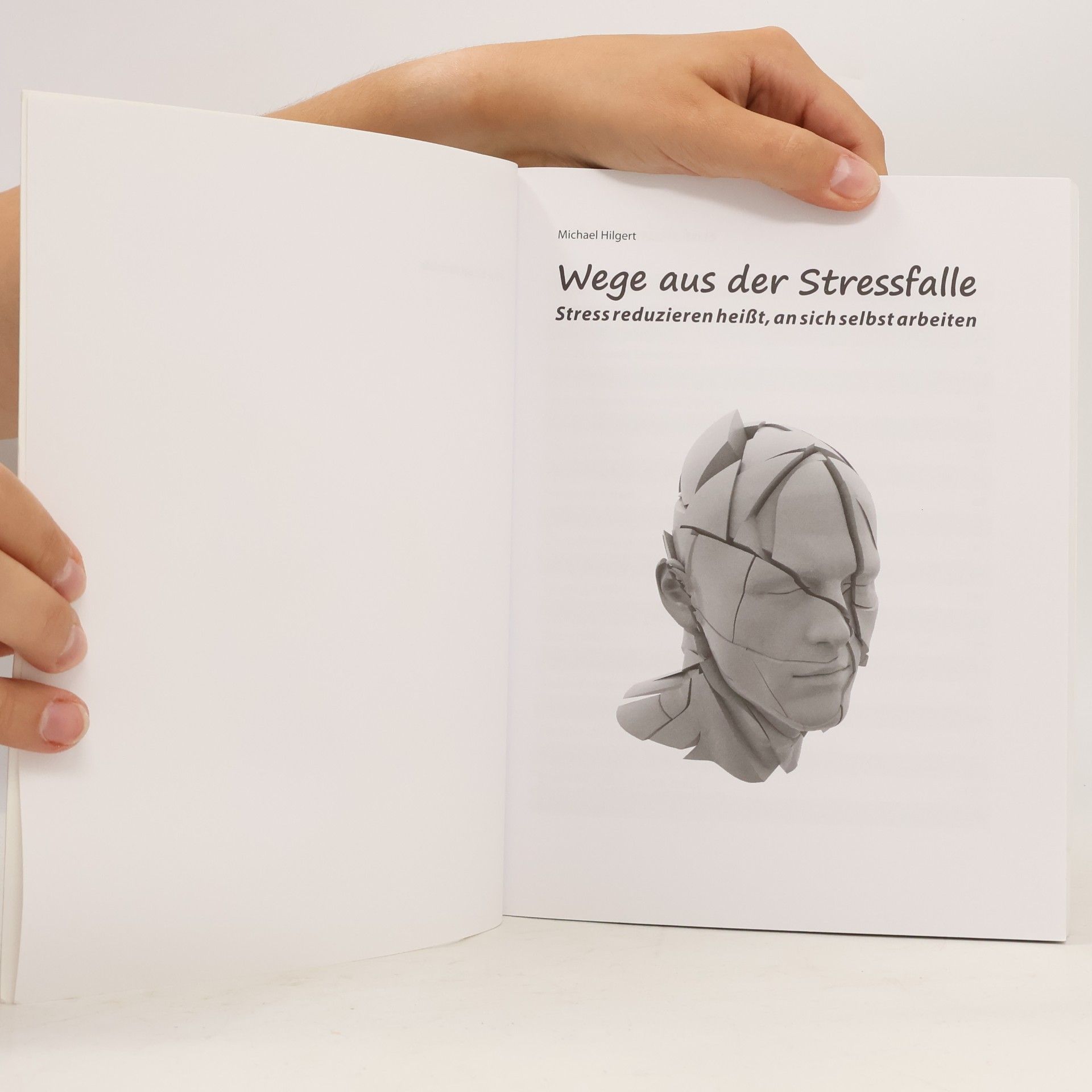 Michael Hilgert Wege aus der Stressfalle