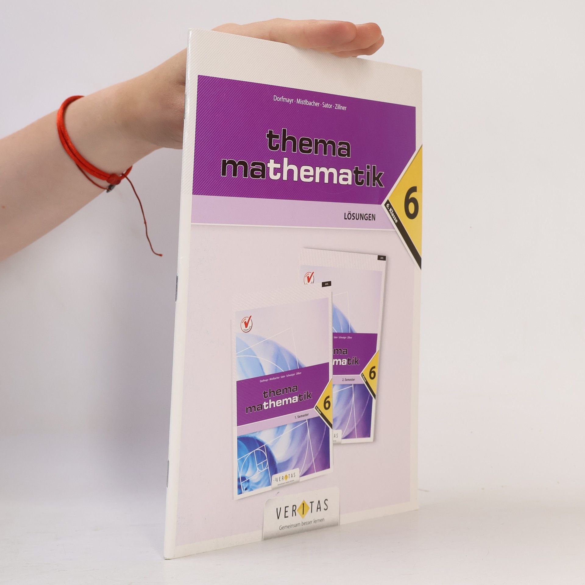 Autores varios Thema Mathematik 6. Klasse