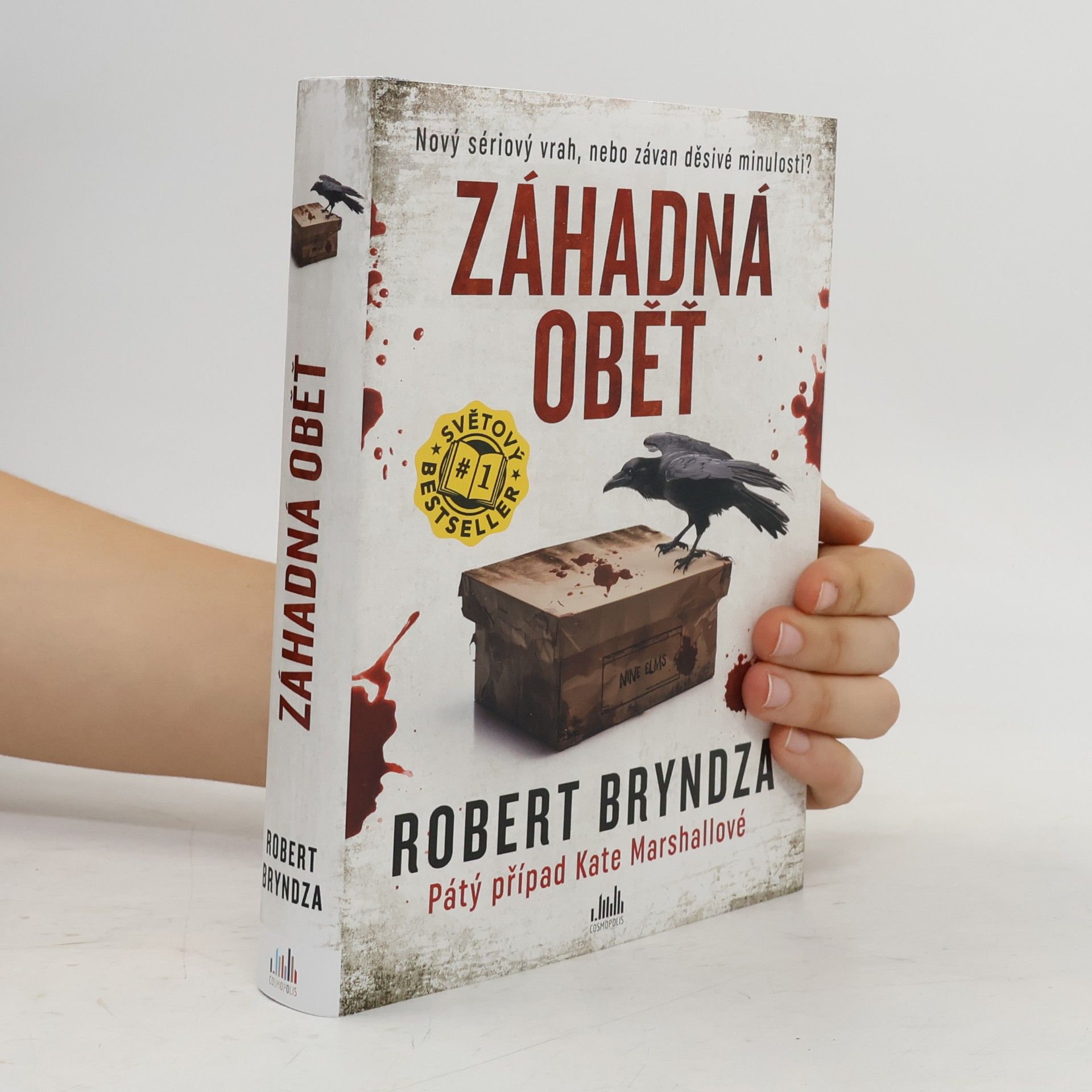 Robert Bryndza Záhadná oběť