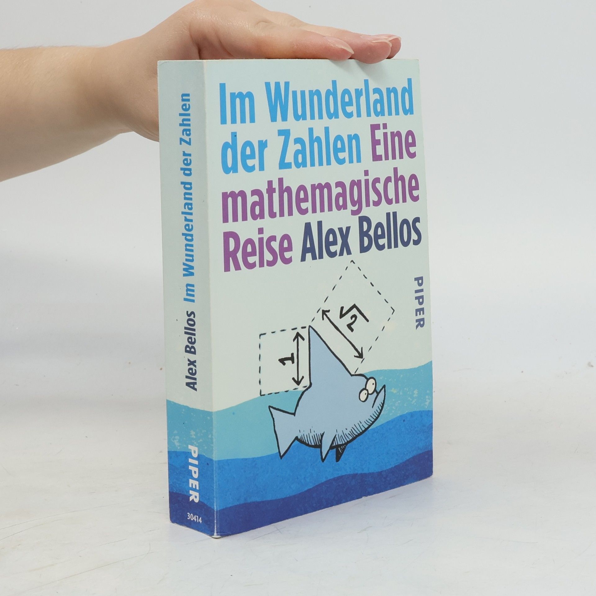 Alex Bellos Im Wunderland der Zahlen