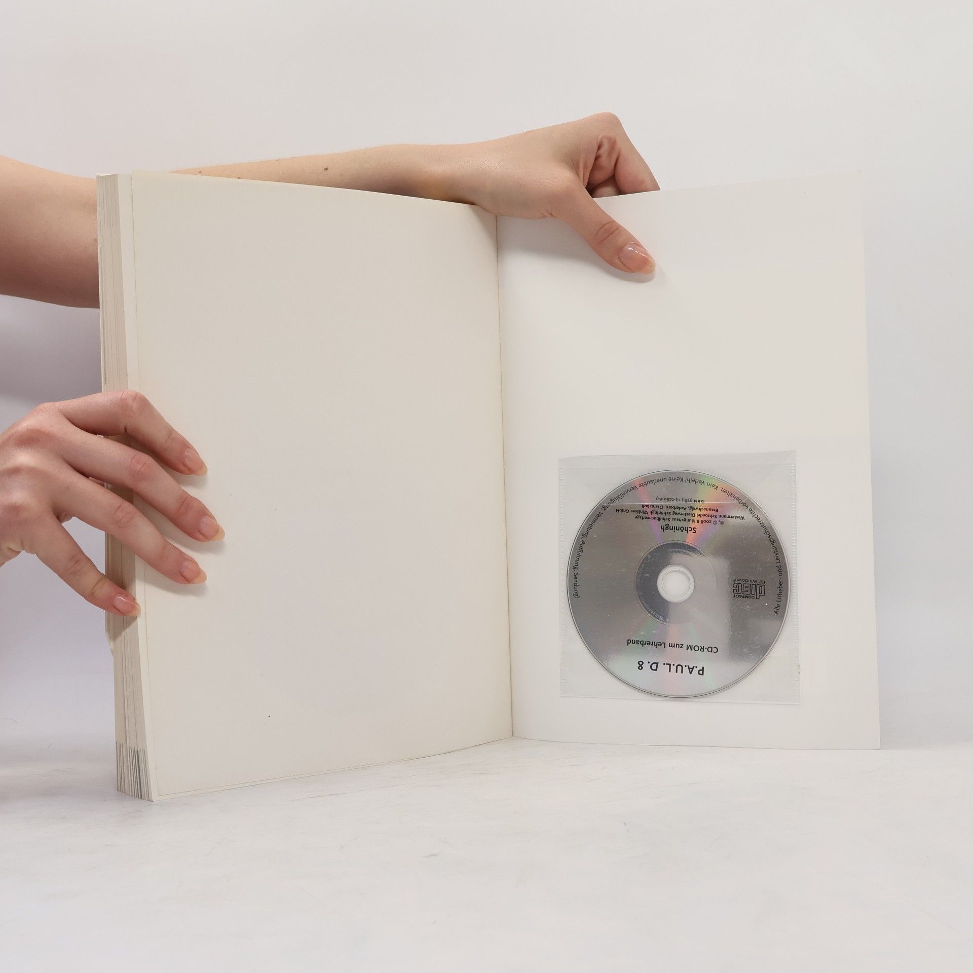 Sabine Aland P.A.U.L.D. - Persönliches Arbeits- und Lesebuch Deutsch. Für Gymnasien und Gesamtschulen / P.A.U.L.D. - Persönliches Arbeits- und Lesebuch Deutsch. Für Gymnasien: Lehrerband 8