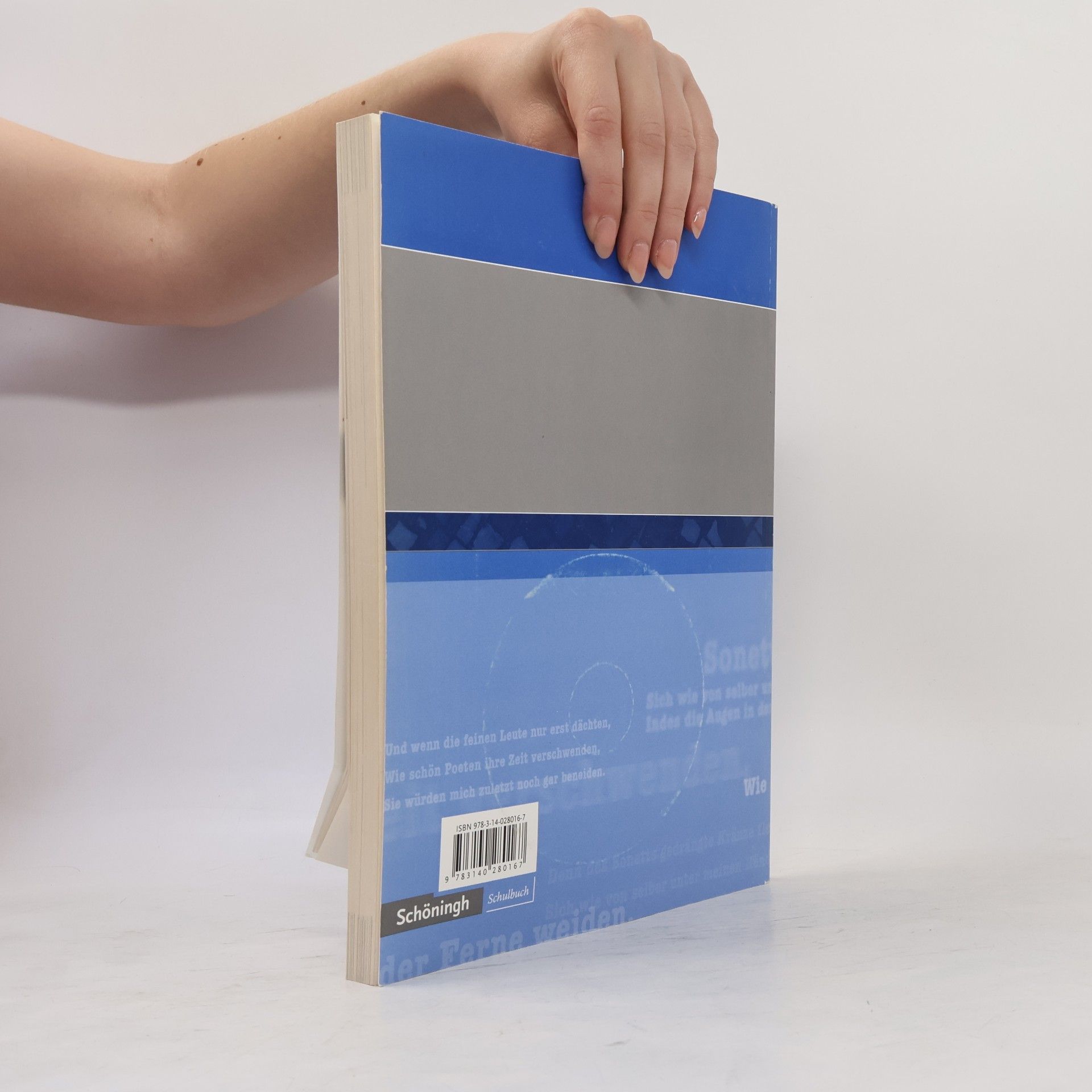Sabine Aland P.A.U.L.D. - Persönliches Arbeits- und Lesebuch Deutsch. Für Gymnasien und Gesamtschulen / P.A.U.L.D. - Persönliches Arbeits- und Lesebuch Deutsch. Für Gymnasien: Lehrerband 8