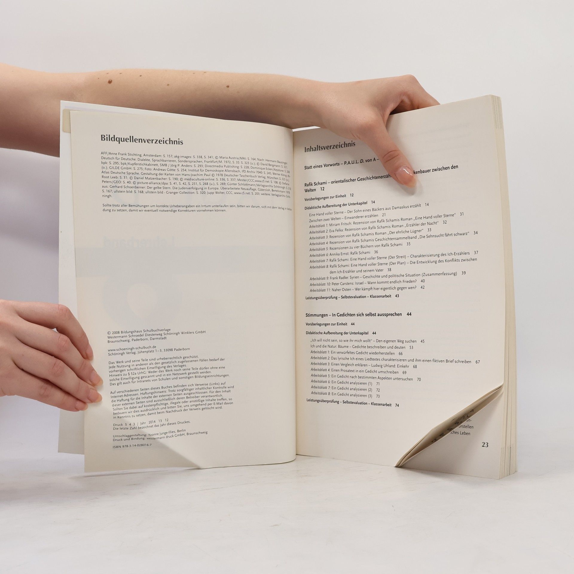 Sabine Aland P.A.U.L.D. - Persönliches Arbeits- und Lesebuch Deutsch. Für Gymnasien und Gesamtschulen / P.A.U.L.D. - Persönliches Arbeits- und Lesebuch Deutsch. Für Gymnasien: Lehrerband 8