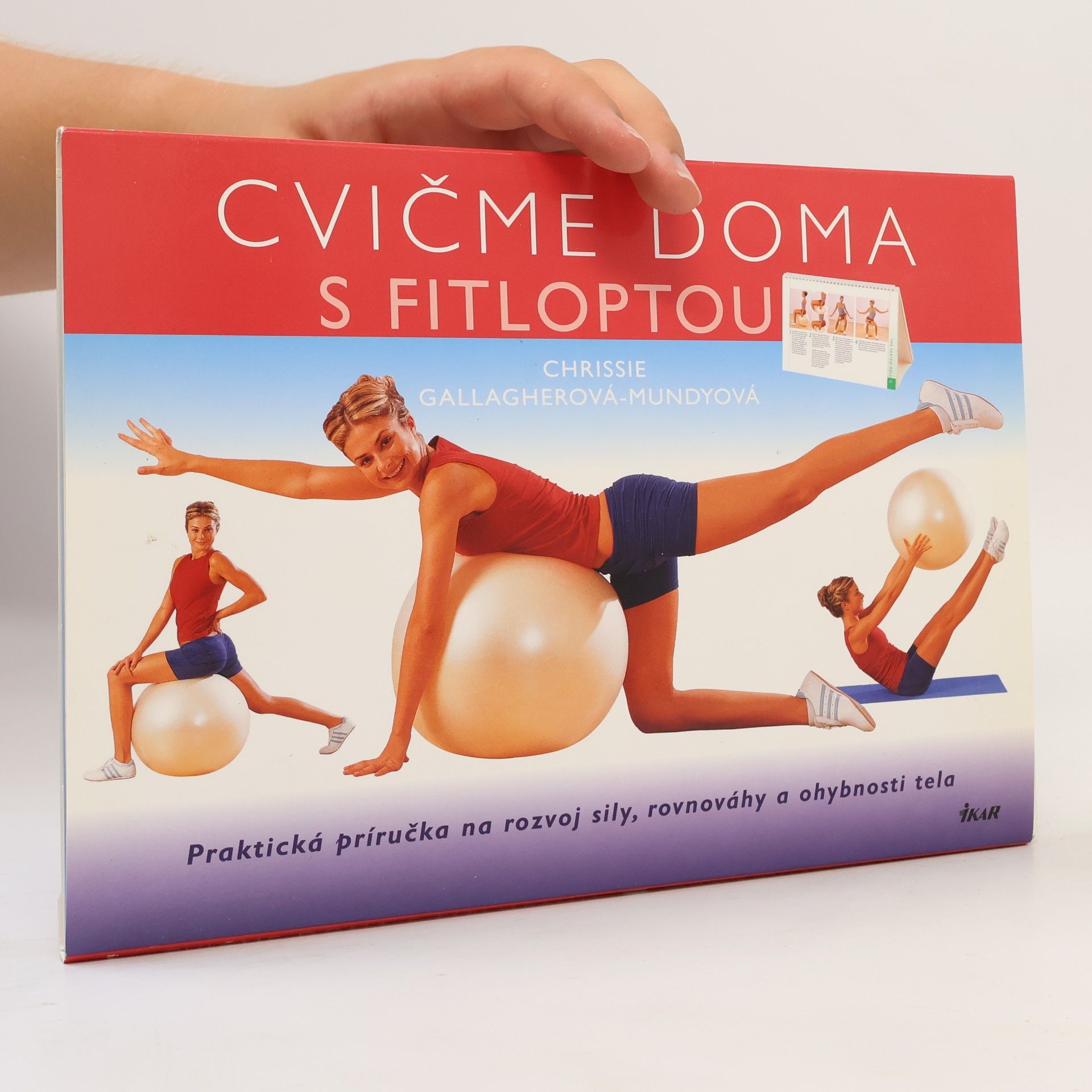 Chrissie Gallagher Mundy Cvičíme doma s fitloptou