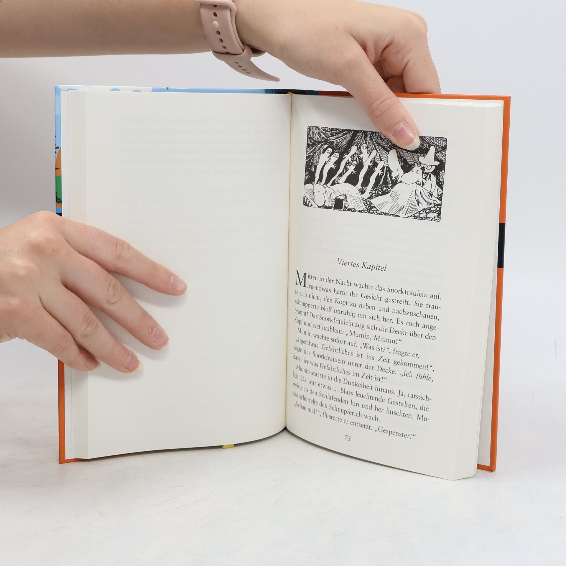 Tove Jansson Die Mumins 22