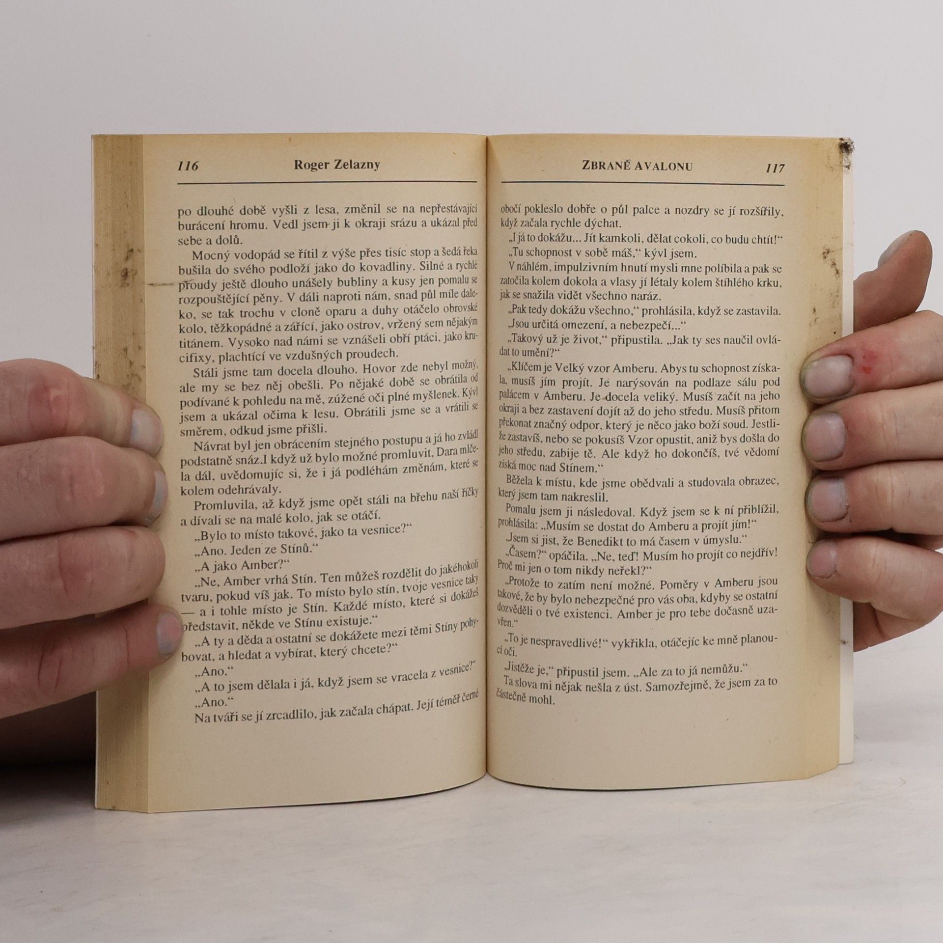 Roger Zelazny Tajemný Amber. Zbraně Avalonu
