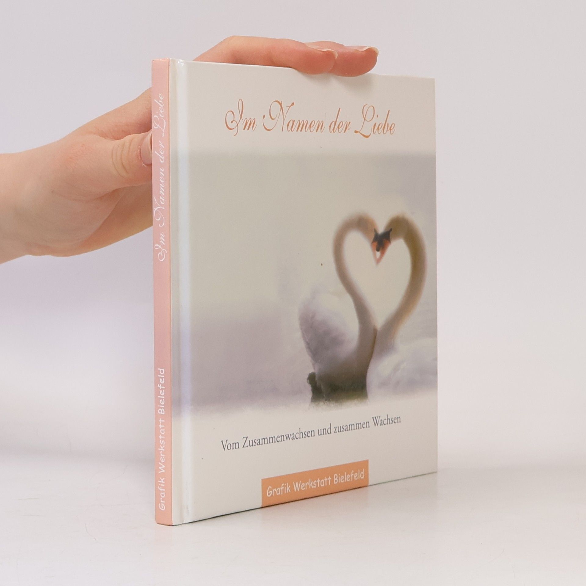 Jochen Mariss Im Namen der Liebe