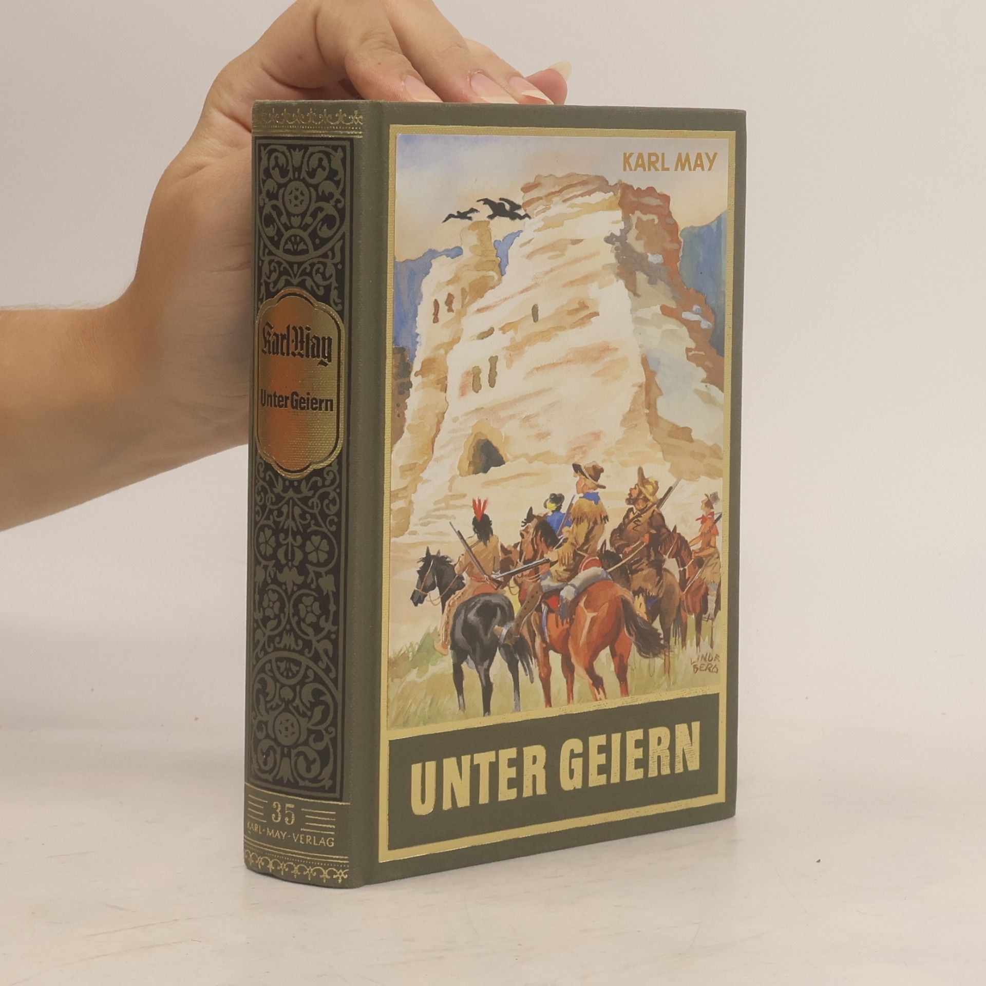 Karl May Unter Geiern