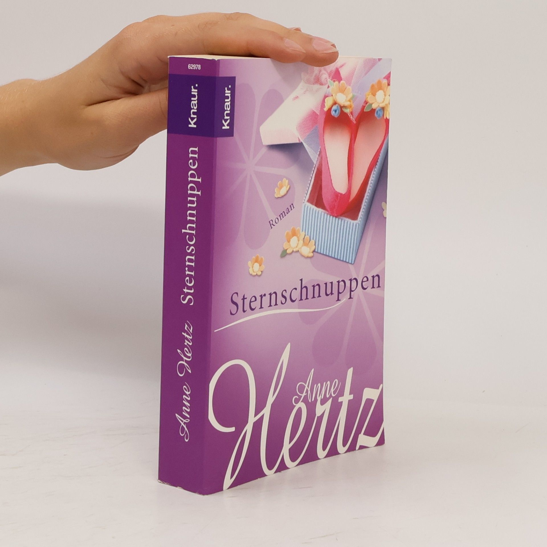 Anne Hertz Sternschnuppen