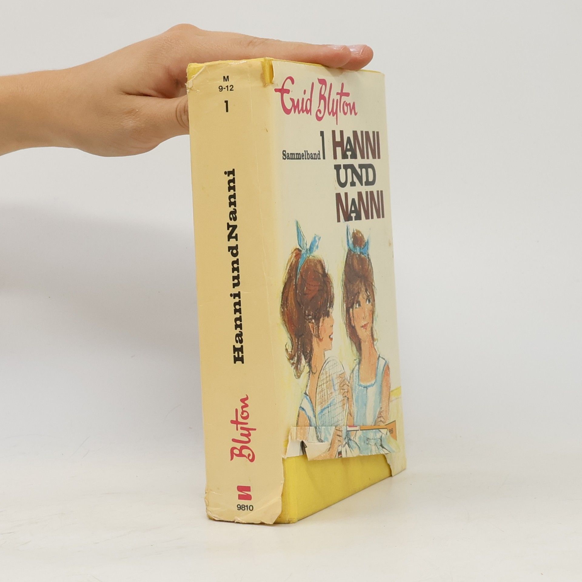 Enid Blyton Hanni und nanni. Sammelband 1