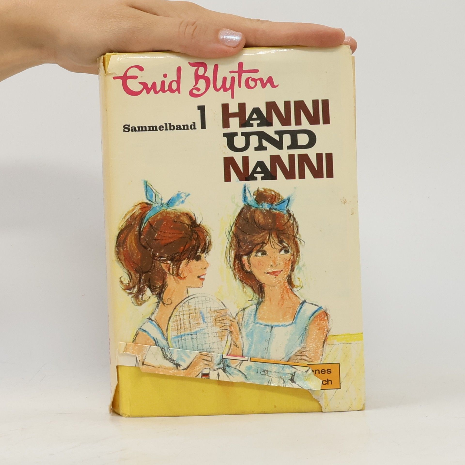 Enid Blyton Hanni und nanni. Sammelband 1