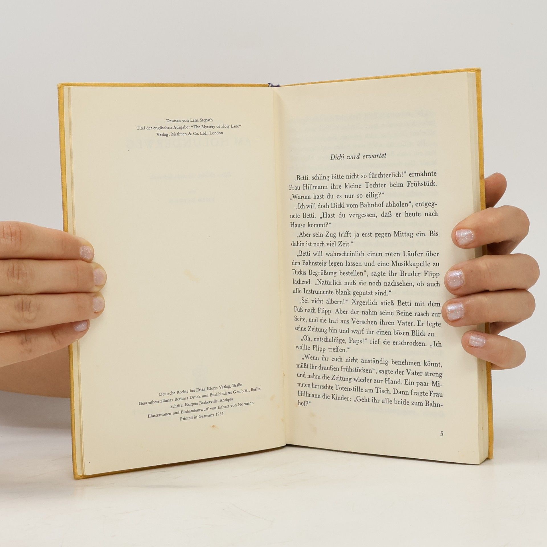 Enid Blyton Geheimnis am Holunderweg