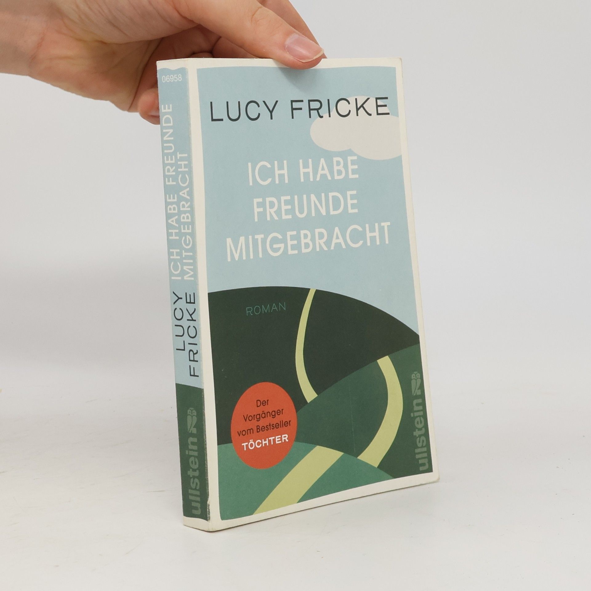 Lucy Fricke Ich habe Freunde mitgebracht