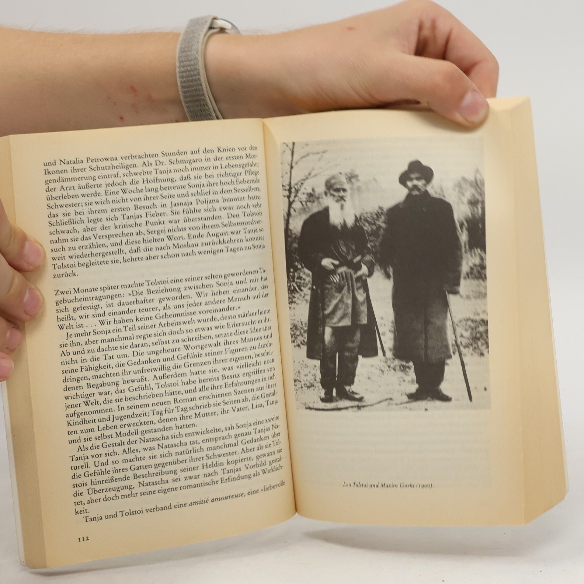 Anne Edwards Die Tolstois