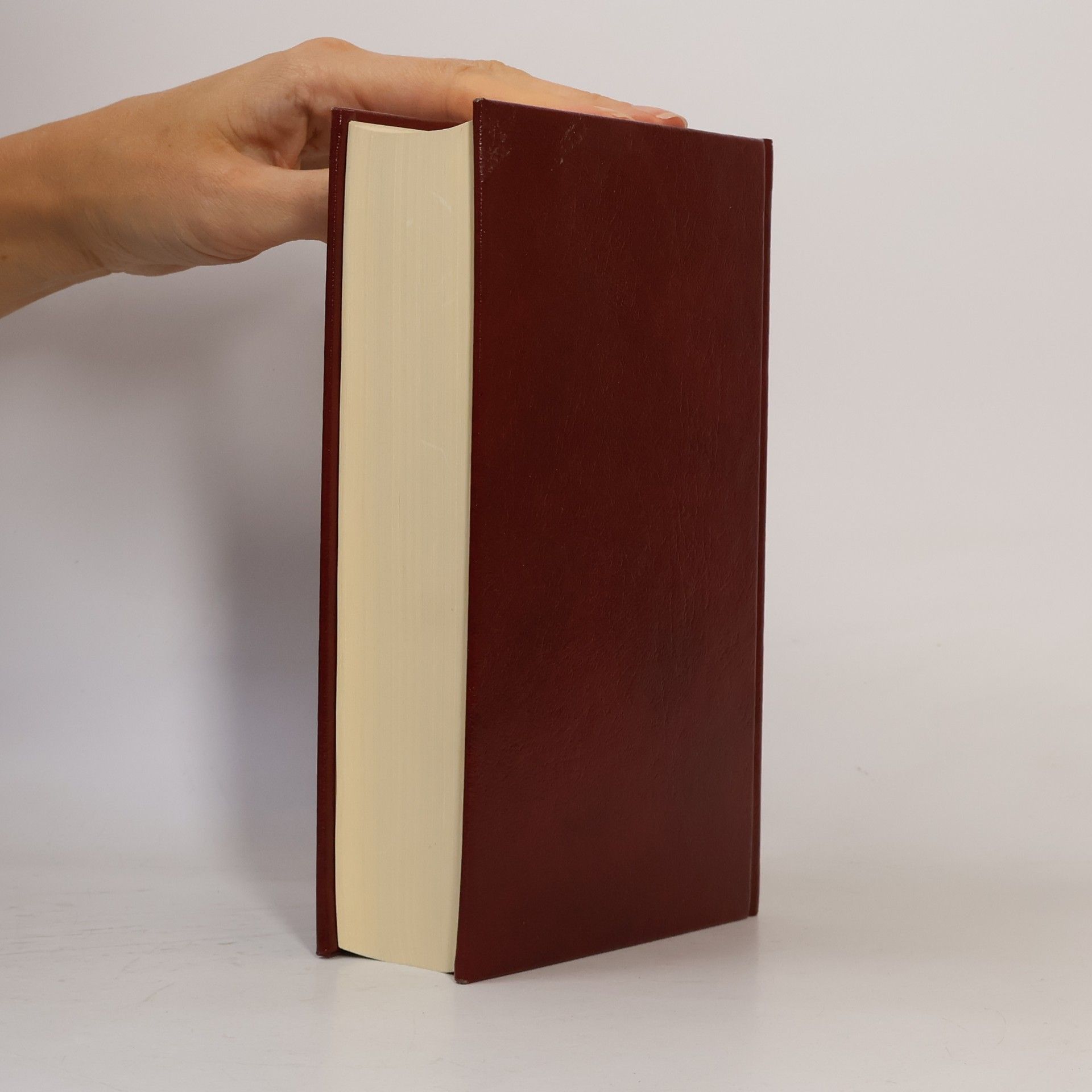 Kolektiv autorů Die Bibel