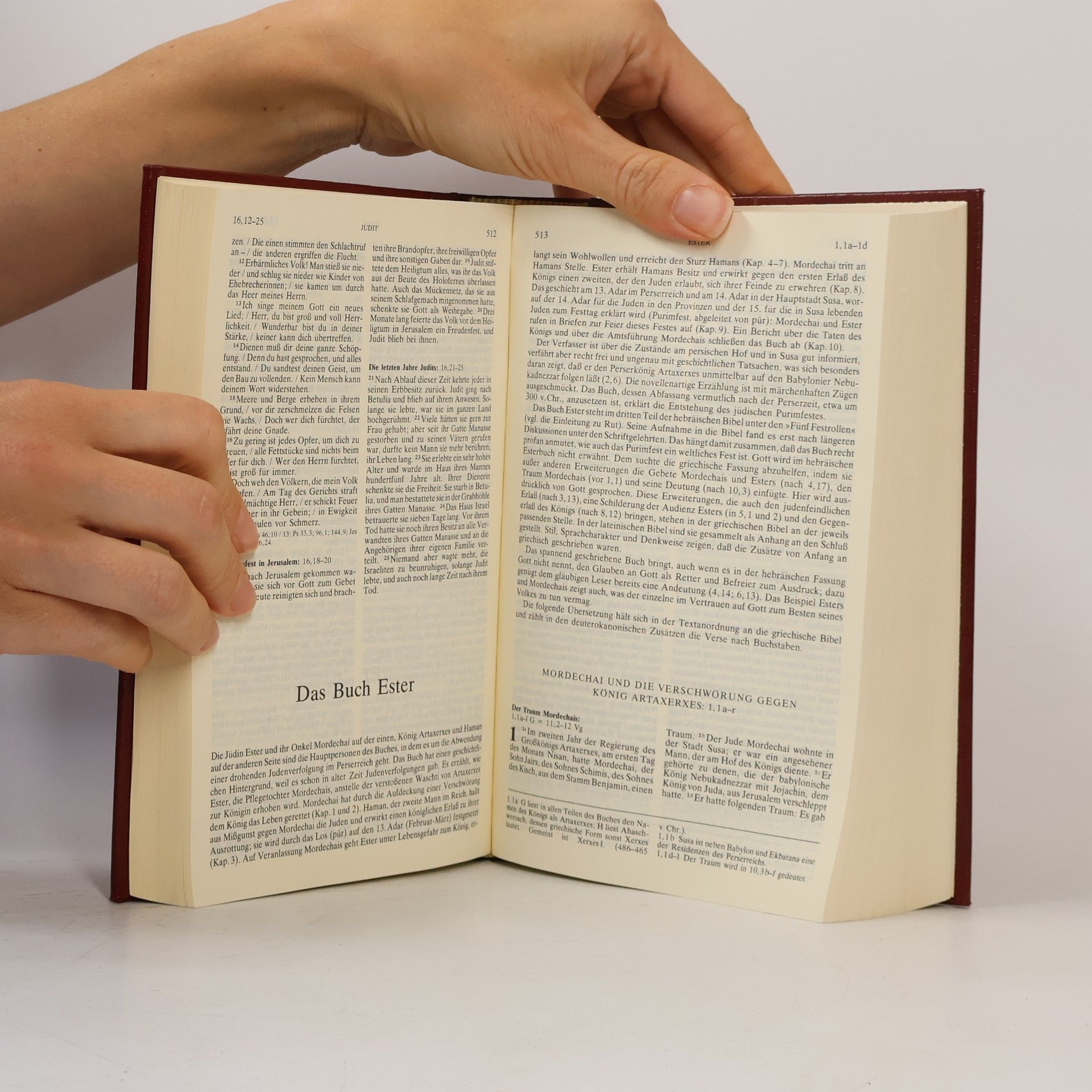 Kolektiv autorů Die Bibel
