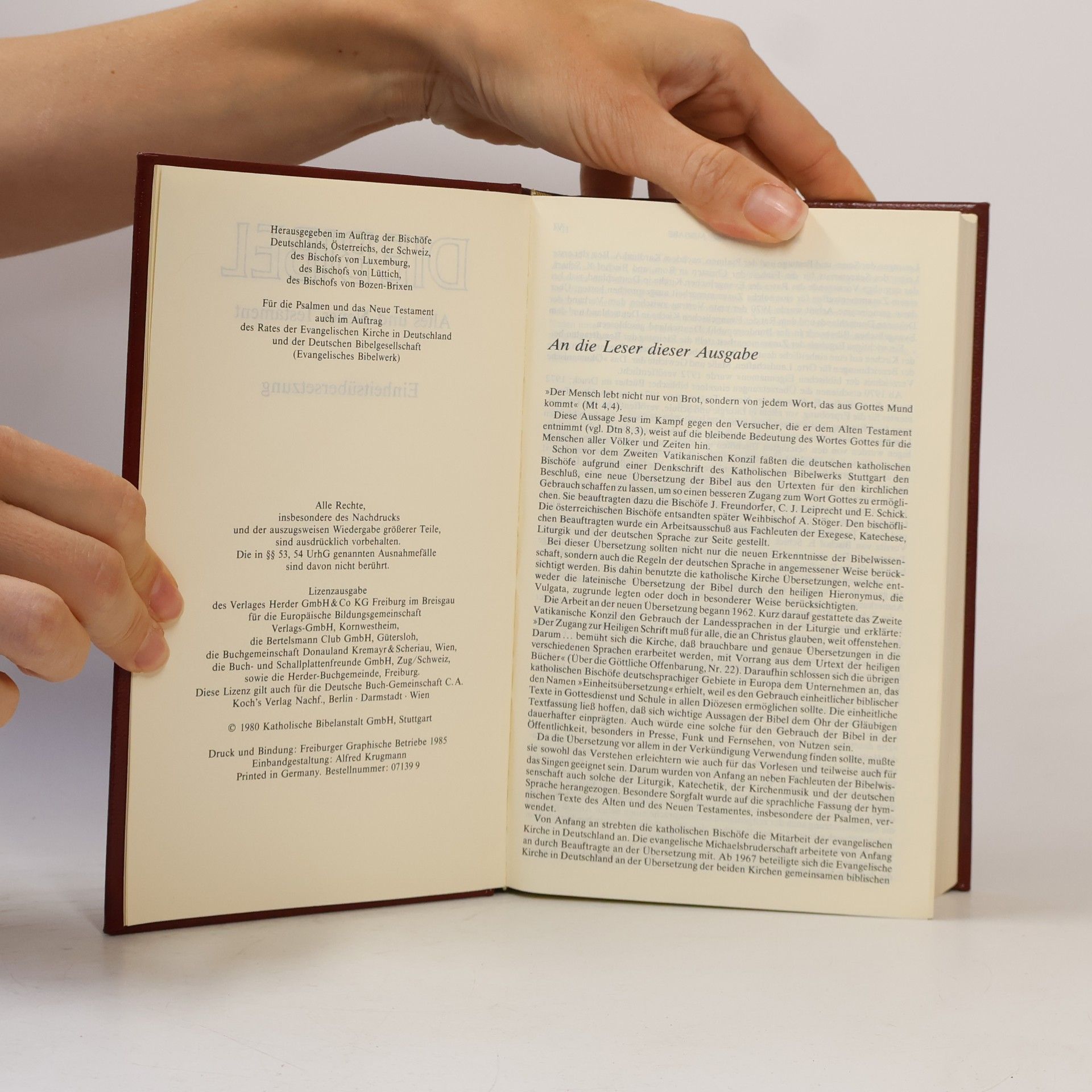 Kolektiv autorů Die Bibel