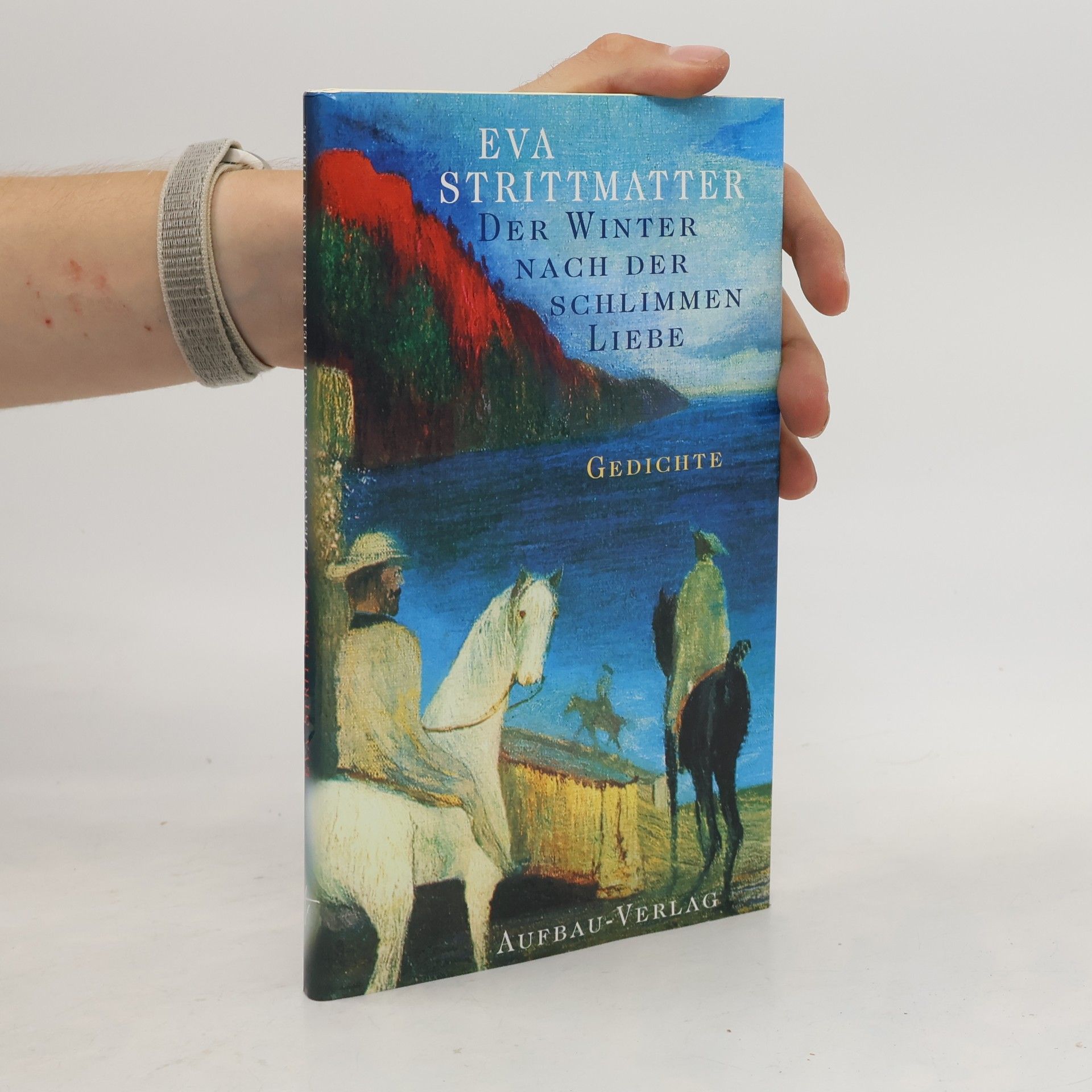 Eva Strittmatter Der Winter nach der schlimmen Liebe