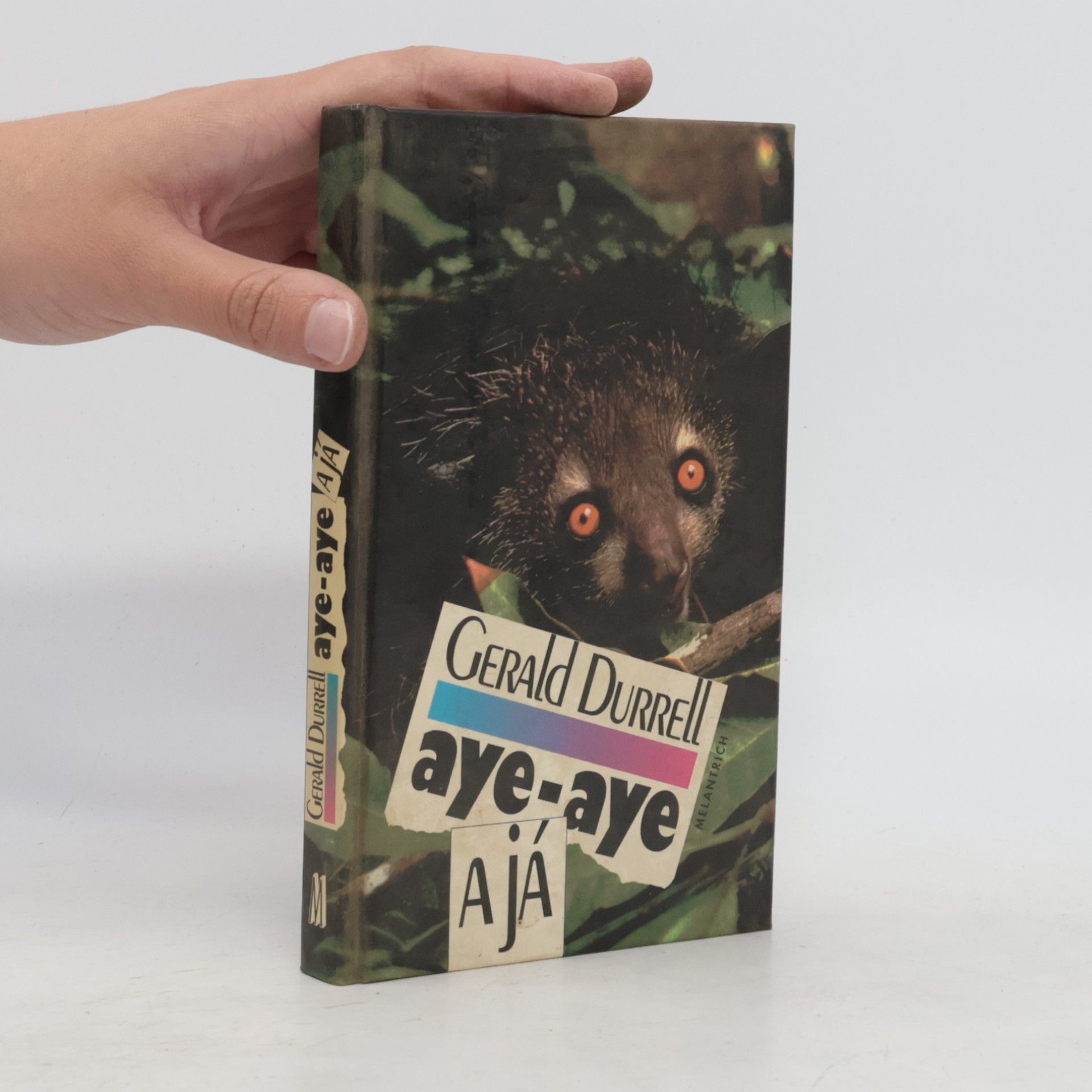 Aye-Aye a já