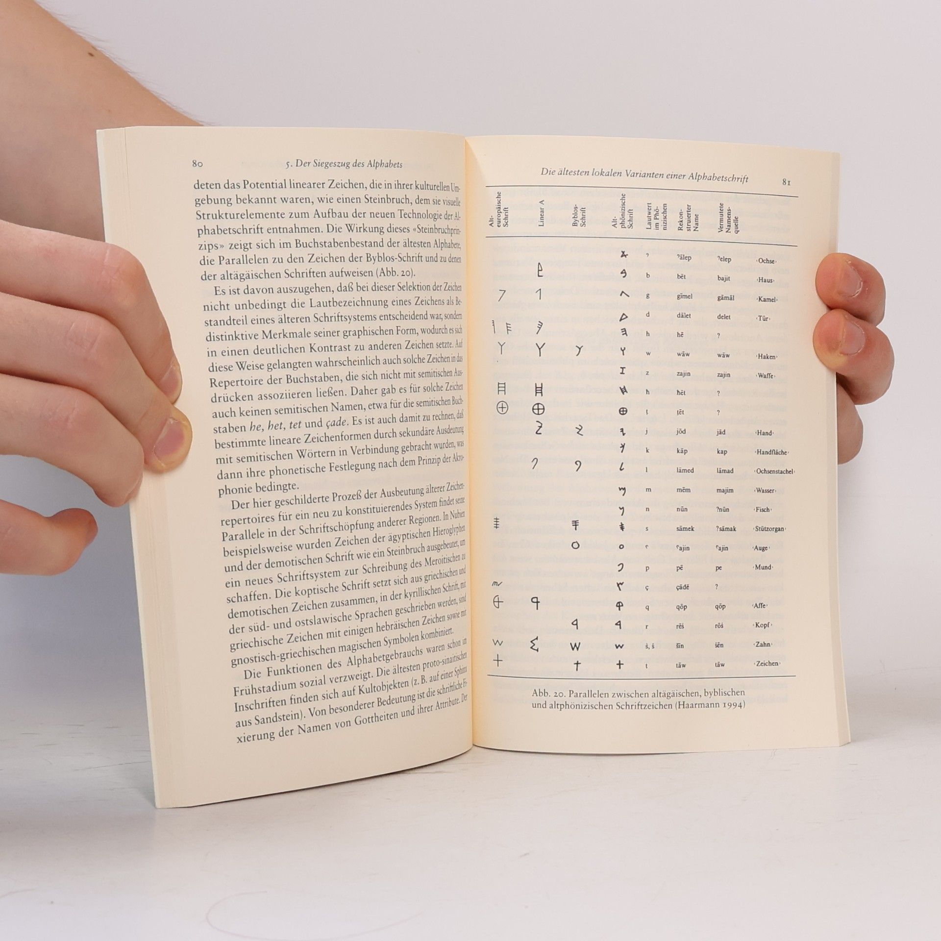 Harald Haarmann Geschichte der Schrift