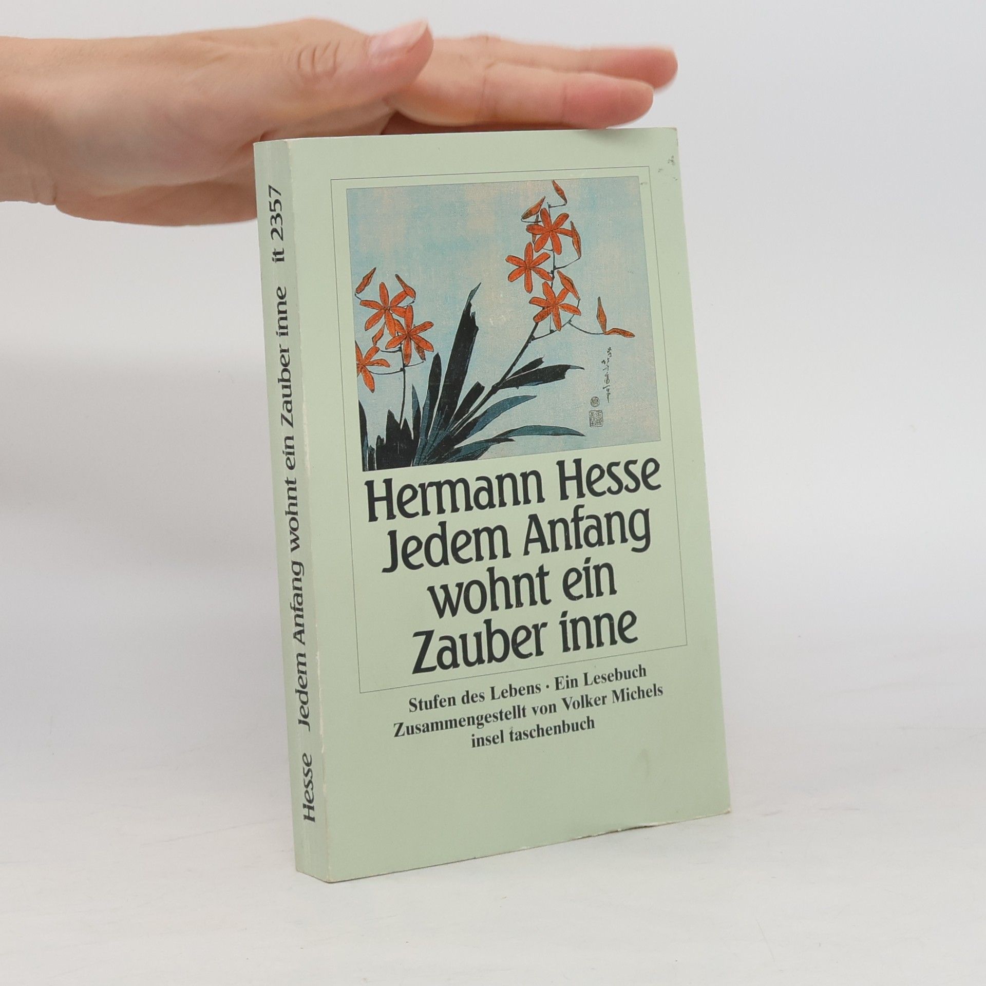 Hermann Hesse Jedem Anfang wohnt ein Zauber inne
