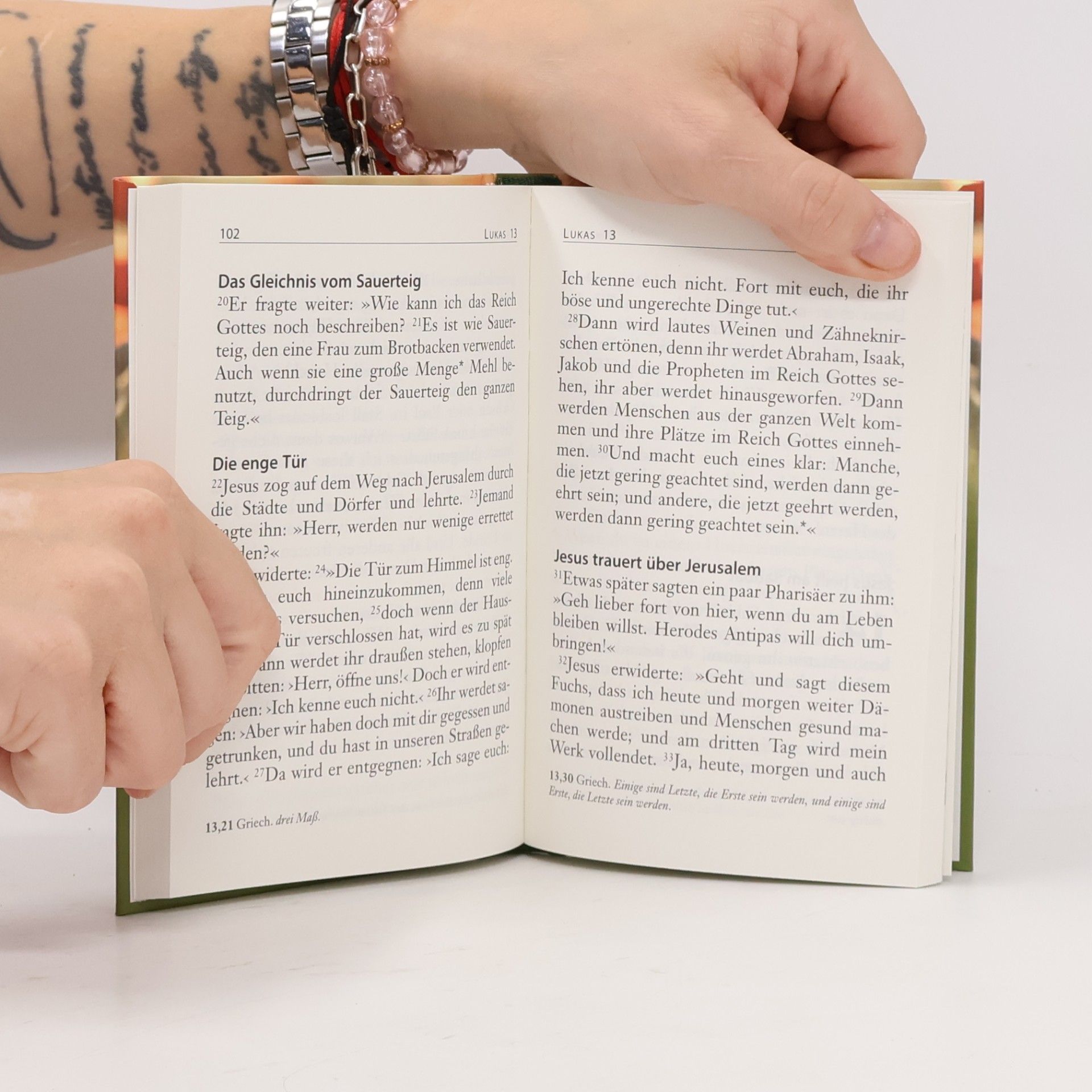 Neues Leben. Die Bibel. Das Lukasevangelium - Motiv Mohnblume
