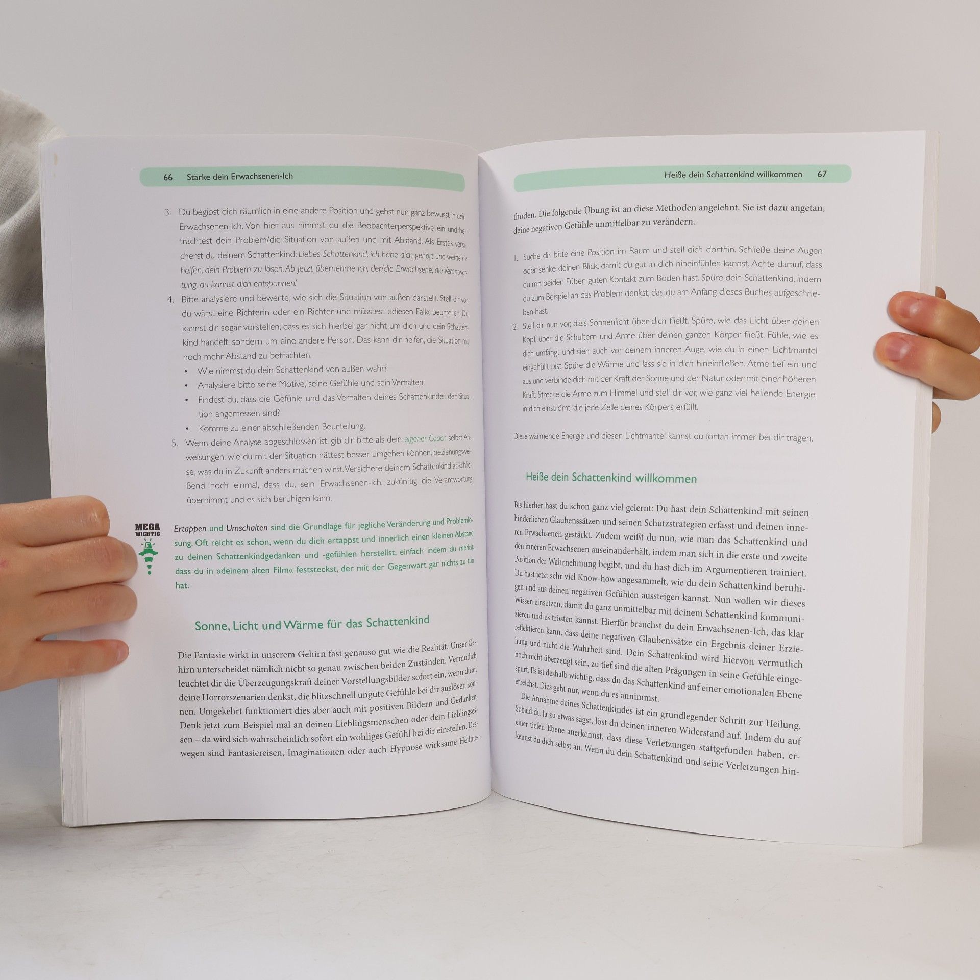 Stefanie Stahl Das Kind in dir muss Heimat finden - das Arbeitsbuch